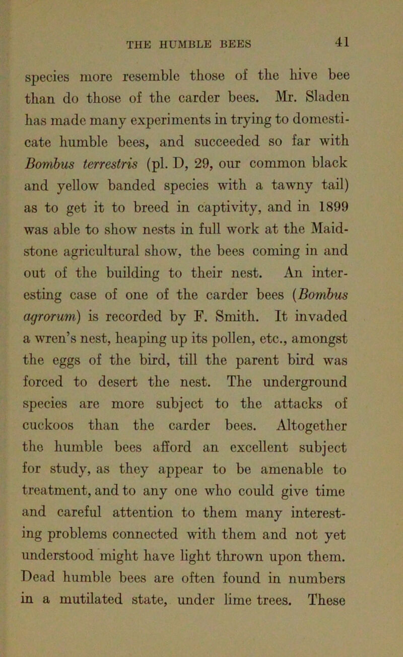 species more resemble those of the hive bee than do those of the carder bees. Mr. Sladen has made many experiments in trying to domesti- cate humble bees, and succeeded so far with Bombus terrestris (pi. D, 29, our common black and yellow banded species with a tawny tail) as to get it to breed in captivity, and in 1899 was able to show nests in full work at the Maid- stone agricultural show, the bees coming in and out of the building to their nest. An inter- esting case of one of the carder bees (Bombus agrorum) is recorded by F. Smith. It invaded a wren’s nest, heaping up its pollen, etc., amongst the eggs of the bird, till the parent bird was forced to desert the nest. The underground species are more subject to the attacks of cuckoos than the carder bees. Altogether the humble bees afford an excellent subject for study, as they appear to be amenable to treatment, and to any one who could give time and careful attention to them many interest- ing problems connected with them and not yet understood might have light thrown upon them. Dead humble bees are often found in numbers in a mutilated state, under lime trees. These