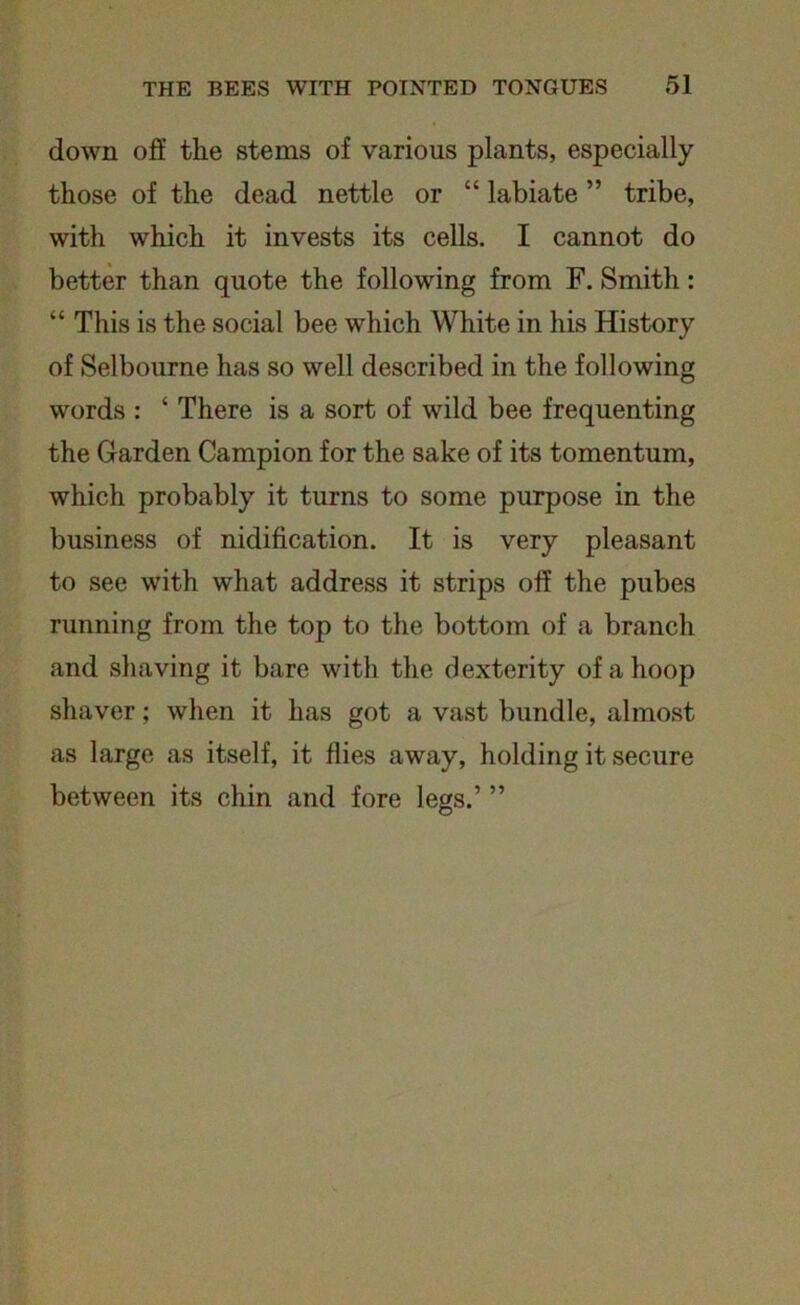 down of! the stems of various plants, especially those of the dead nettle or “ labiate ” tribe, with which it invests its cells. I cannot do better than quote the following from F. Smith: “ This is the social bee which White in his History of Selbourne has so well described in the following words : ‘ There is a sort of wild bee frequenting the Garden Campion for the sake of its tomentum, which probably it turns to some purpose in the business of nidification. It is very pleasant to see with what address it strips off the pubes running from the top to the bottom of a branch and shaving it bare with the dexterity of a hoop shaver; when it has got a vast bundle, almost as large as itself, it flies away, holding it secure between its chin and fore legs.’ ”