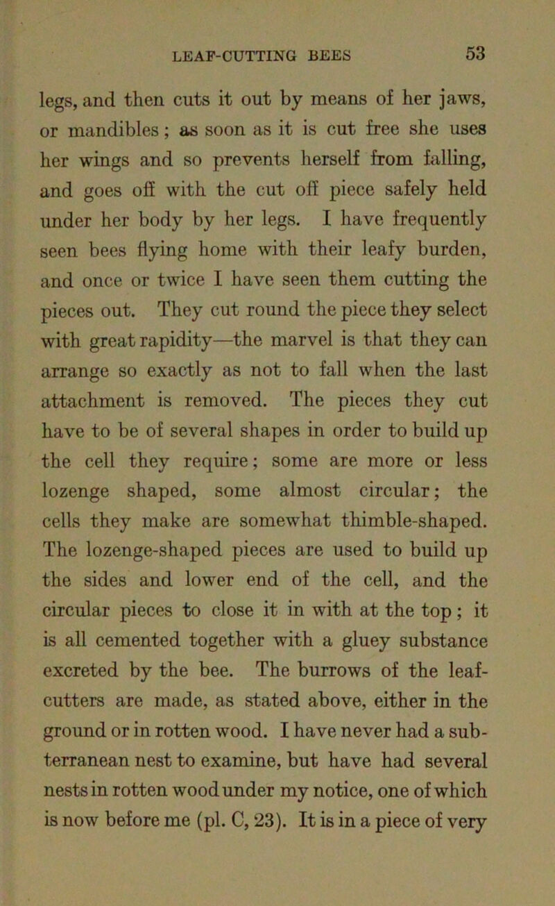 legs, and then cuts it out by means of her jaws, or mandibles; as soon as it is cut free she uses her wings and so prevents herself from falling, and goes off with the cut off piece safely held under her body by her legs. I have frequently seen bees flying home with their leafy burden, and once or twice I have seen them cutting the pieces out. They cut round the piece they select with great rapidity—the marvel is that they can arrange so exactly as not to fall when the last attachment is removed. The pieces they cut have to be of several shapes in order to build up the cell they require; some are more or less lozenge shaped, some almost circular; the cells they make are somewhat thimble-shaped. The lozenge-shaped pieces are used to build up the sides and lower end of the cell, and the circular pieces to close it in with at the top; it is all cemented together with a gluey substance excreted by the bee. The burrows of the leaf- cutters are made, as stated above, either in the ground or in rotten wood. I have never had a sub- terranean nest to examine, but have had several nests in rotten wood under my notice, one of which is now before me (pi. C, 23). It is in a piece of very