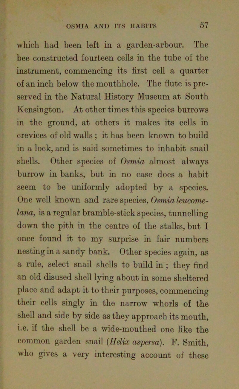 which had been left in a garden-arbour. The bee constructed fourteen cells in the tube of the instrument, commencing its first cell a quarter of an inch below the mouthhole. The flute is pre- served in the Natural History Museum at South Kensington. At other times this species burrows in the ground, at others it makes its cells in crevices of old walls ; it has been known to build in a lock, and is said sometimes to inhabit snail shells. Other species of Osmia almost always burrow in banks, but in no case does a habit seem to be uniformly adopted by a species. One well known and rare species, Osmia leucome- lana, is a regular bramble-stick species, tunnelling down the pith in the centre of the stalks, but I once found it to my surprise in fair numbers nesting in a sandy bank. Other species again, as a rule, select snail shells to build in; they find an old disused shell lying about in some sheltered place and adapt it to their purposes, commencing their cells singly in the narrow whorls of the shell and side by side as they approach its mouth, i.e. if the shell be a wide-mouthed one like the common garden snail (Helix aspersa). F. Smith, who gives a very interesting account of these