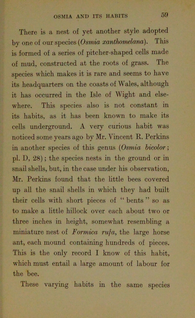 There is a nest of yet another style adopted by one of our species (Osmia xanthomelana). This is formed of a series of pitcher-shaped cells made of mud, constructed at the roots of grass. The species which makes it is rare and seems to have its headquarters on the coasts of Wales, although it has occurred in the Isle of Wight and else- where. This species also is not constant in its habits, as it has been known to make its cells underground. A very curious habit was noticed some years ago by Mr. Vincent R. Perkins in another species of this genus (Osmia bicolor; pi. D, 28); the species nests in the ground or in snail shells, but, in the case under his observation, Mr. Perkins found that the little bees covered up all the snail shells in which they had built their cells with short pieces of “ bents ” so as to make a little hillock over each about two or three inches in height, somewhat resembling a miniature nest of Formica rufa, the large horse ant, each mound containing hundreds of pieces. This is the only record I know of this habit, which must entail a large amount of labour for the bee. These varying habits in the same species