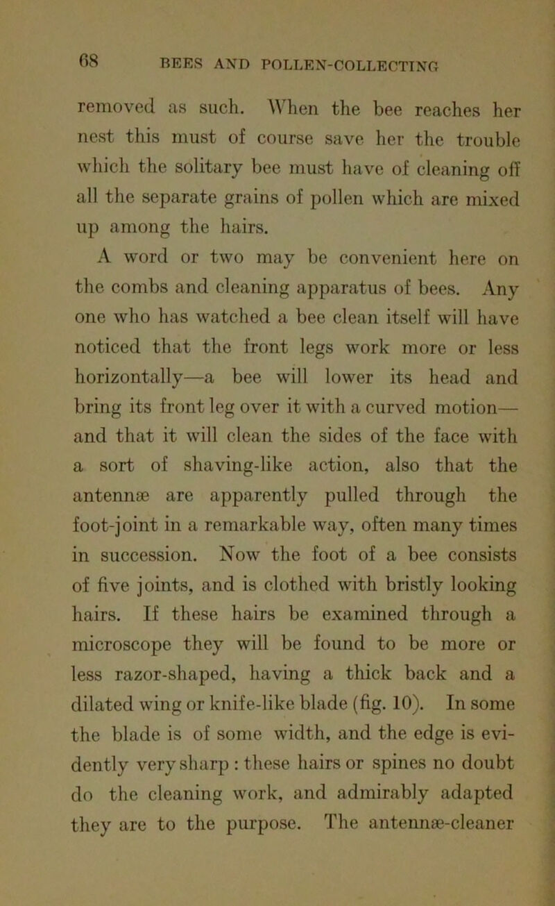 removed as such. When the bee reaches her nest this must of course save her the trouble which the solitary bee must have of cleaning off all the separate grains of pollen which are mixed up among the hairs. A word or two may be convenient here on the combs and cleaning apparatus of bees. Any one who has watched a bee clean itself will have noticed that the front legs work more or less horizontally—a bee will lower its head and bring its front leg over it with a curved motion— and that it will clean the sides of the face with a sort of shaving-like action, also that the antennae are apparently pulled through the foot-joint in a remarkable way, often many times in succession. Now the foot of a bee consists of five joints, and is clothed with bristly looking hairs. If these hairs be examined through a microscope they will be found to be more or less razor-shaped, having a thick back and a dilated wing or knife-like blade (fig. 10). In some the blade is of some width, and the edge is evi- dently very sharp : these hairs or spines no doubt do the cleaning work, and admirably adapted they are to the purpose. The antennse-cleaner