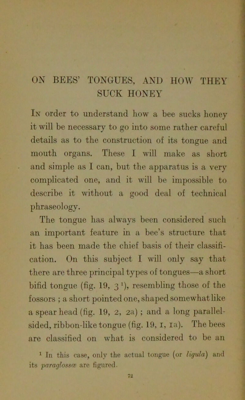 ON BEES’ TONGUES, AND HOW THEY SUCK HONEY In order to understand how a bee sucks honey it will be necessary to go into some rather careful details as to the construction of its tongue and mouth organs. These I will make as short and simple as I can, but the apparatus is a very complicated one, and it will be impossible to describe it without a good deal of technical phraseology. The tongue has always been considered such an important feature in a bee’s structure that it has been made the chief basis of their classifi- cation. On this subject I will only say that there are three principal types of tongues—a short bifid tongue (fig. 19, 3 *), resembling those of the fossors ; a short pointed one, shaped somewhat like a spear head (fig. 19, 2, 2a) ; and a long parallel- sided, ribbon-like tongue (fig. 19,1, la). The bees are classified on what is considered to be an 1 In this case, only the actual tongue (or lignin) and its paraglossce are figured.