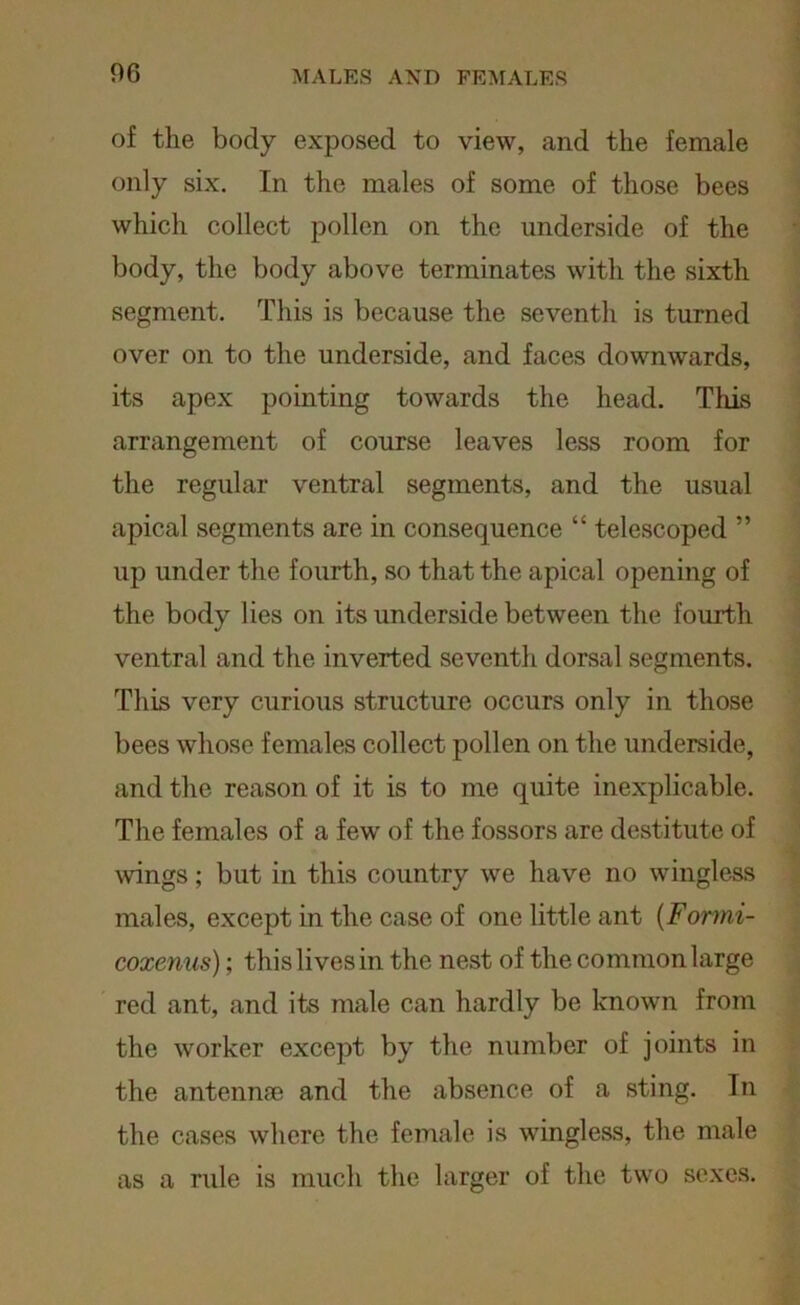 of the body exposed to view, and the female only six. In the males of some of those bees which collect pollen on the underside of the body, the body above terminates with the sixth segment. This is because the seventh is turned over on to the underside, and faces downwards, its apex pointing towards the head. This arrangement of course leaves less room for the regular ventral segments, and the usual apical segments are in consequence “ telescoped ” up under the fourth, so that the apical opening of the body lies on its underside between the fourth ventral and the inverted seventh dorsal segments. This very curious structure occurs only in those bees whose females collect pollen on the underside, and the reason of it is to me quite inexplicable. The females of a few of the fossors are destitute of wings; but in this country we have no wingless males, except in the case of one little ant (Formi- coxenus); this lives in the nest of the common large red ant, and its male can hardly be known from the worker except by the number of joints in the antennae and the absence of a sting. In the cases where the female is wingless, the male as a rule is much the larger of the two sexes.