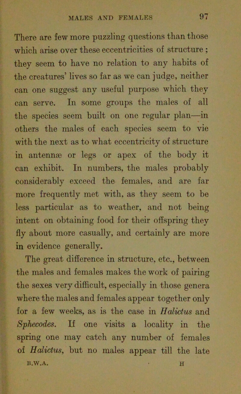 There are few more puzzling questions than those which arise over these eccentricities of structure ; they seem to have no relation to any habits of the creatures’ lives so far as we can judge, neither can one suggest any useful purpose which they can serve. In some groups the males of all the species seem built on one regular plan—in others the males of each species seem to vie with the next as to what eccentricity of structure in antennae or legs or apex of the body it can exhibit. In numbers, the males probably considerably exceed the females, and are far more frequently met with, as they seem to be less particular as to weather, and not being intent on obtaining food for their offspring they fly about more casually, and certainly are more in evidence generally. The great difference in structure, etc., between the males and females makes the work of pairing the sexes very difficult, especially in those genera where the males and females appear together only for a few weeks, as is the case in Halictus and Sphecodes. If one visits a locality in the spring one may catch any number of females of Halictus, but no males appear till the late B.W.A. H