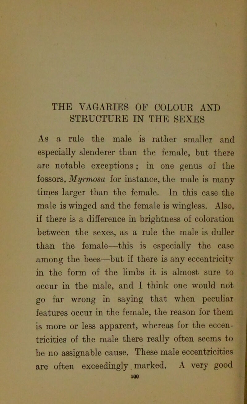 THE VAGARIES OF COLOUR AND STRUCTURE IN THE SEXES As a rule the male is rather smaller and especially slenderer than the female, but there are notable exceptions ; in one genus of the fossors, Myrmosa for instance, the male is many times larger than the female. In this case the male is winged and the female is wingless. Also, if there is a difference in brightness of coloration between the sexes, as a rule the male is duller than the female—this is especially the case among the bees—but if there is any eccentricity in the form of the limbs it is almost sure to occur in the male, and I think one would not go far wrong in saying that when peculiar features occur in the female, the reason for them is more or less apparent, whereas for the eccen- tricities of the male there really often seems to be no assignable cause. These male eccentricities are often exceedingly. marked. A very good