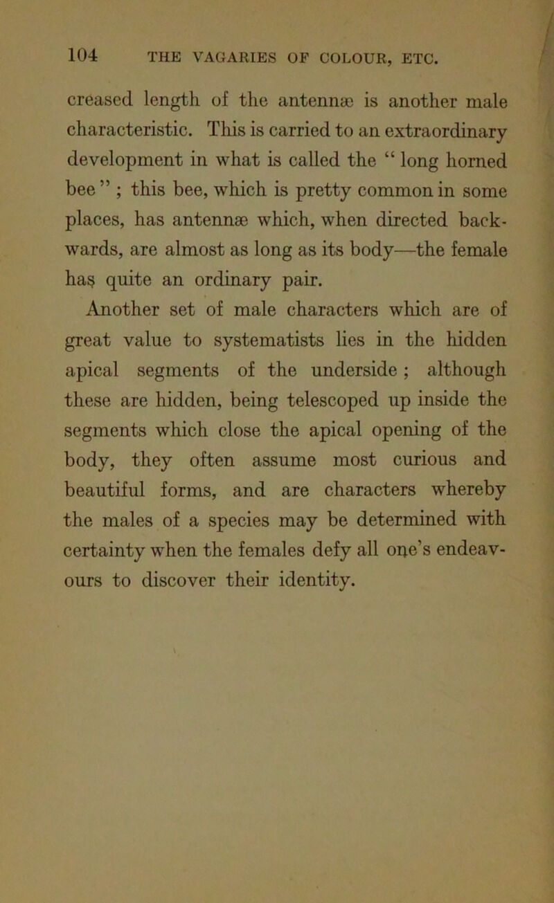 creased, length of the antenna) is another male characteristic. This is carried to an extraordinary development in what is called the “ long horned bee ” ; this bee, which is pretty common in some places, has antennae which, when directed back- wards, are almost as long as its body—the female has quite an ordinary pair. Another set of male characters which are of great value to systematists lies in the hidden apical segments of the underside; although these are hidden, being telescoped up inside the segments which close the apical opening of the body, they often assume most curious and beautiful forms, and are characters whereby the males of a species may be determined with certainty when the females defy all one’s endeav- ours to discover their identity.