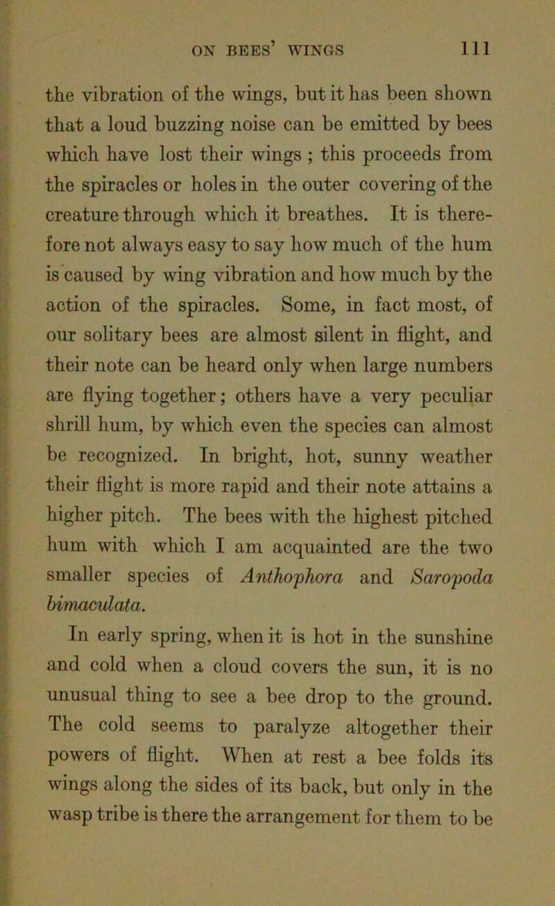the vibration of the wings, but it has been shown that a loud buzzing noise can be emitted by bees which have lost their wings ; this proceeds from the spiracles or holes in the outer covering of the creature through which it breathes. It is there- fore not always easy to say how much of the hum is caused by wing vibration and how much by the action of the spiracles. Some, in fact most, of our solitary bees are almost silent in flight, and their note can be heard only when large numbers are flying together; others have a very peculiar shrill hum, by which even the species can almost be recognized. In bright, hot, sunny weather their flight is more rapid and their note attains a higher pitch. The bees with the highest pitched hum with which I am acquainted are the two smaller species of Anthophora and Saropoda bimaculata. In early spring, when it is hot in the sunshine and cold when a cloud covers the sim, it is no unusual thing to see a bee drop to the ground. The cold seems to paralyze altogether their powers of flight. When at rest a bee folds its wings along the sides of its back, but only in the wasp tribe is there the arrangement for them to be