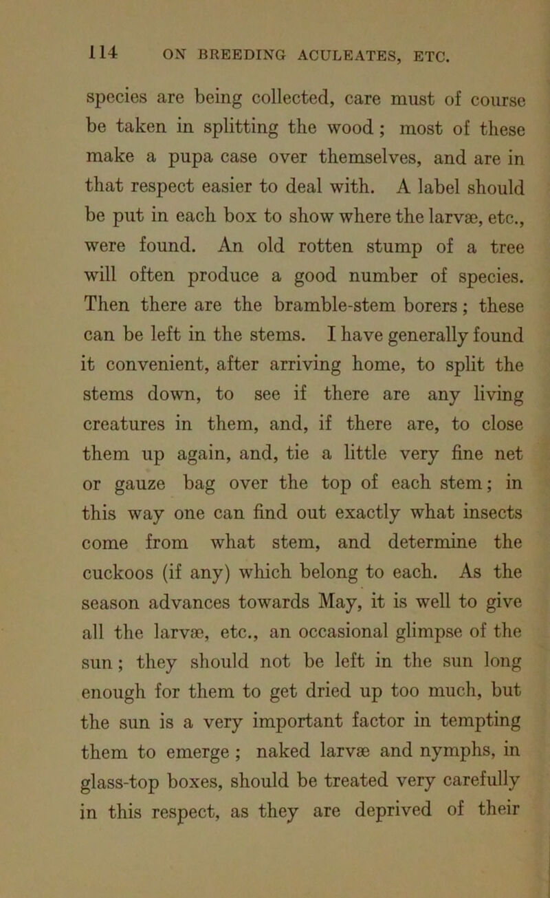 species are being collected, care must of course be taken in splitting the wood; most of these make a pupa case over themselves, and are in that respect easier to deal with. A label should be put in each box to show where the larvae, etc., were found. An old rotten stump of a tree will often produce a good number of species. Then there are the bramble-stem borers; these can be left in the stems. I have generally found it convenient, after arriving home, to split the stems down, to see if there are any living creatures in them, and, if there are, to close them up again, and, tie a little very fine net or gauze bag over the top of each stem; in this way one can find out exactly what insects come from what stem, and determine the cuckoos (if any) which belong to each. As the season advances towards May, it is well to give all the larvae, etc., an occasional glimpse of the sun ; they should not be left in the sun long enough for them to get dried up too much, but the sun is a very important factor in tempting them to emerge ; naked larvae and nymphs, in glass-top boxes, should be treated very carefully in this respect, as they are deprived of their