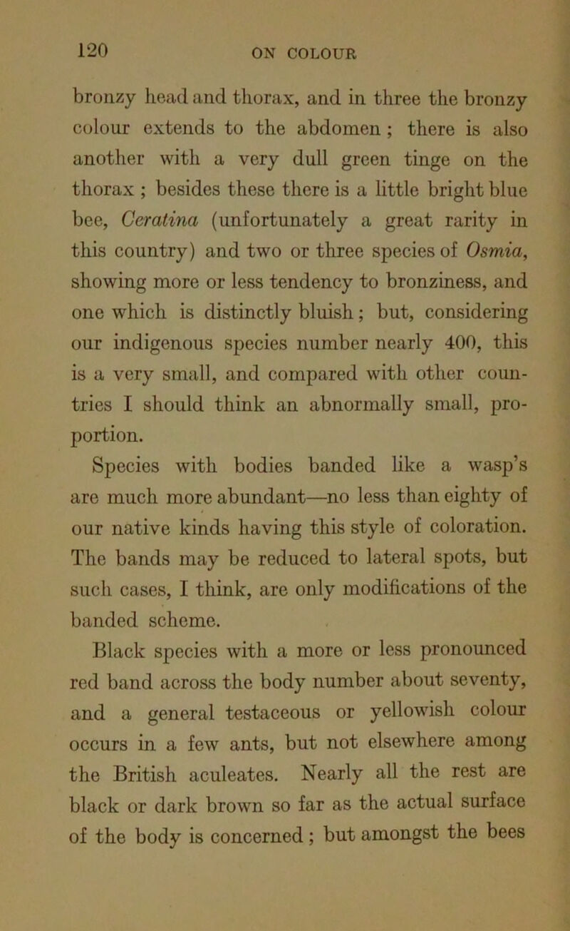 bronzy head and thorax, and in three the bronzy colour extends to the abdomen ; there is also another with a very dull green tinge on the thorax ; besides these there is a little bright blue bee, Ceratina (unfortunately a great rarity in this country) and two or three species of Osmia, showing more or less tendency to bronziness, and one which is distinctly bluish; but, considering our indigenous species number nearly 400, this is a very small, and compared with other coun- tries I should think an abnormally small, pro- portion. Species with bodies banded like a wasp’s are much more abundant—no less than eighty of our native kinds having this style of coloration. The bands may be reduced to lateral spots, but such cases, I think, are only modifications of the banded scheme. Black species with a more or less pronounced red band across the body number about seventy, and a general testaceous or yellowish colour occurs in a few ants, but not elsewhere among the British aculeates. Nearly all the rest are black or dark brown so far as the actual surface of the body is concerned ; but amongst the bees