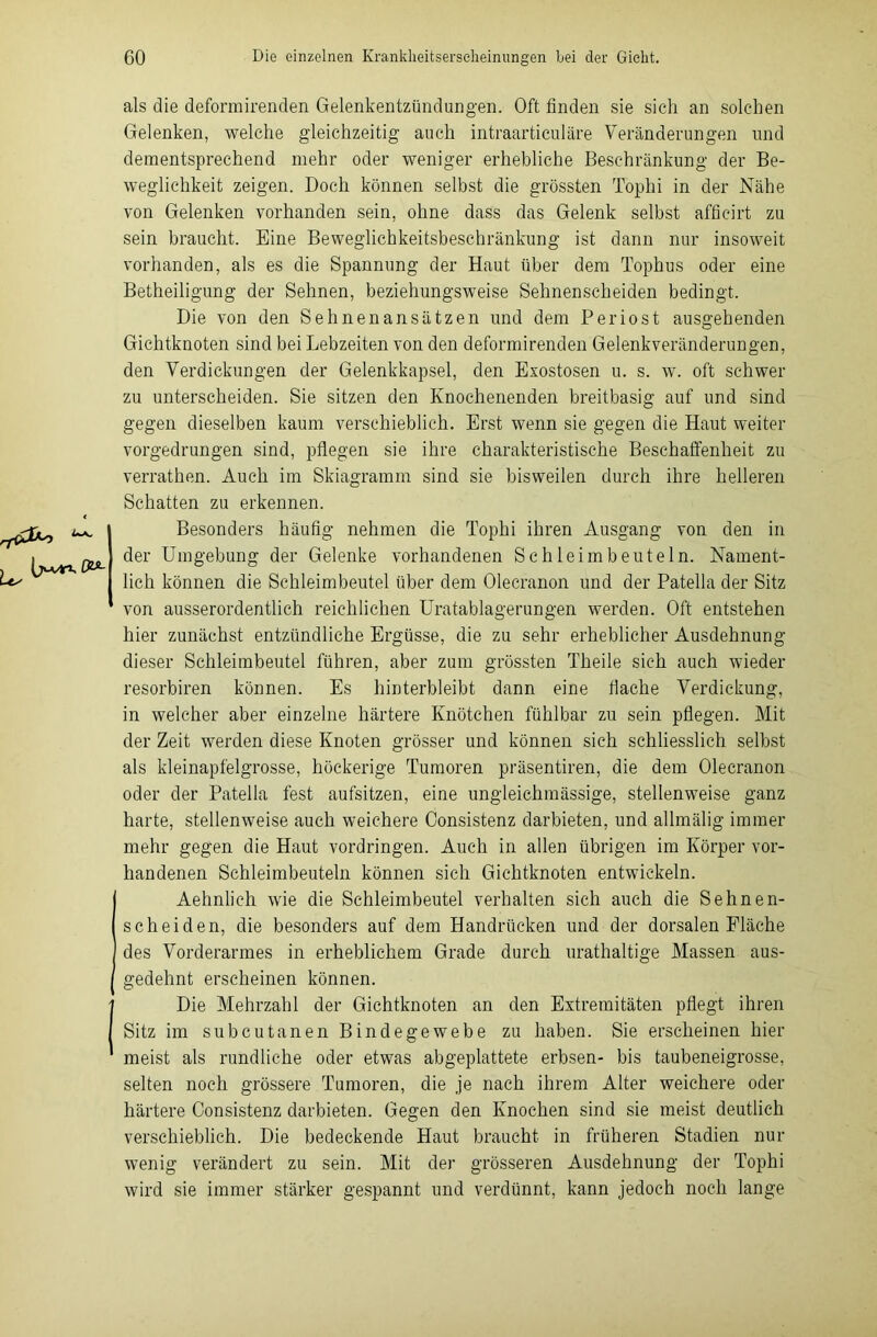 als die deformirenden Gelenkentzündungen. Oft finden sie sich an solchen Gelenken, welche gleichzeitig auch intraarticuläre Veränderungen und dementsprechend mehr oder weniger erhebliche Beschränkung der Be- weglichkeit zeigen. Doch können selbst die grössten Tophi in der Nähe von Gelenken vorhanden sein, ohne dass das Gelenk selbst afficirt zu sein braucht. Eine Beweglichkeitsbeschränkung ist dann nur insoweit vorhanden, als es die Spannung der Haut über dem Tophus oder eine Betheiligung der Sehnen, beziehungsweise Sehnenscheiden bedingt. Die von den Sehnenansätzen und dem Periost ausgehenden Gichtknoten sind bei Lebzeiten von den deformirenden Gelenkveränderungen, den Verdickungen der Gelenkkapsel, den Exostosen u. s. w. oft schwer zu unterscheiden. Sie sitzen den Knochenenden breitbasig auf und sind gegen dieselben kaum verschieblich. Erst wenn sie gegen die Haut weiter vorgedrungen sind, pflegen sie ihre charakteristische Beschaffenheit zu verrathen. Auch im Skiagramm sind sie bisweilen durch ihre helleren Schatten zu erkennen. Besonders häufig nehmen die Tophi ihren Ausgang von den in der Umgebung der Gelenke vorhandenen Schleimbeuteln. Nament- lich können die Schleimbeutel über dem Olecranon und der Patella der Sitz von ausserordentlich reichlichen Uratablagerungen werden. Oft entstehen hier zunächst entzündliche Ergüsse, die zu sehr erheblicher Ausdehnung dieser Schleimbeutel führen, aber zum grössten Theile sich auch wieder resorbiren können. Es hinterbleibt dann eine flache Verdickung, in welcher aber einzelne härtere Knötchen fühlbar zu sein pflegen. Mit der Zeit werden diese Knoten grösser und können sich schliesslich selbst als kleinapfelgrosse, höckerige Tumoren präsentiren, die dem Olecranon oder der Patella fest aufsitzen, eine ungleichmässige, stellenweise ganz harte, stellenweise auch weichere Consistenz darbieten, und allmälig immer mehr gegen die Haut Vordringen. Auch in allen übrigen im Körper vor- handenen Schleimbeuteln können sich Gichtknoten entwickeln. Aehnlich wie die Schleimbeutel verhalten sich auch die Sehnen- scheiden, die besonders auf dem Handrücken und der dorsalen Fläche des Vorderarmes in erheblichem Grade durch urathaltige Massen aus- gedehnt erscheinen können. Die Mehrzahl der Gichtknoten an den Extremitäten pflegt ihren Sitz im subcutanen Bindegewebe zu haben. Sie erscheinen hier meist als rundliche oder etwas abgeplattete erbsen- bis taubeneigrosse, selten noch grössere Tumoren, die je nach ihrem Alter weichere oder härtere Consistenz darbieten. Gegen den Knochen sind sie meist deutlich verschieblich. Die bedeckende Haut braucht in früheren Stadien nur wenig verändert zu sein. Mit der grösseren Ausdehnung der Tophi wird sie immer stärker gespannt und verdünnt, kann jedoch noch lange