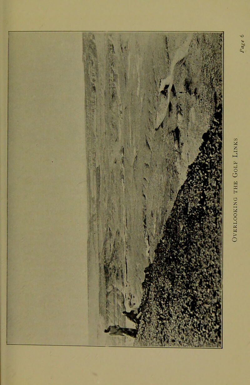 Overlooking the Golf Links