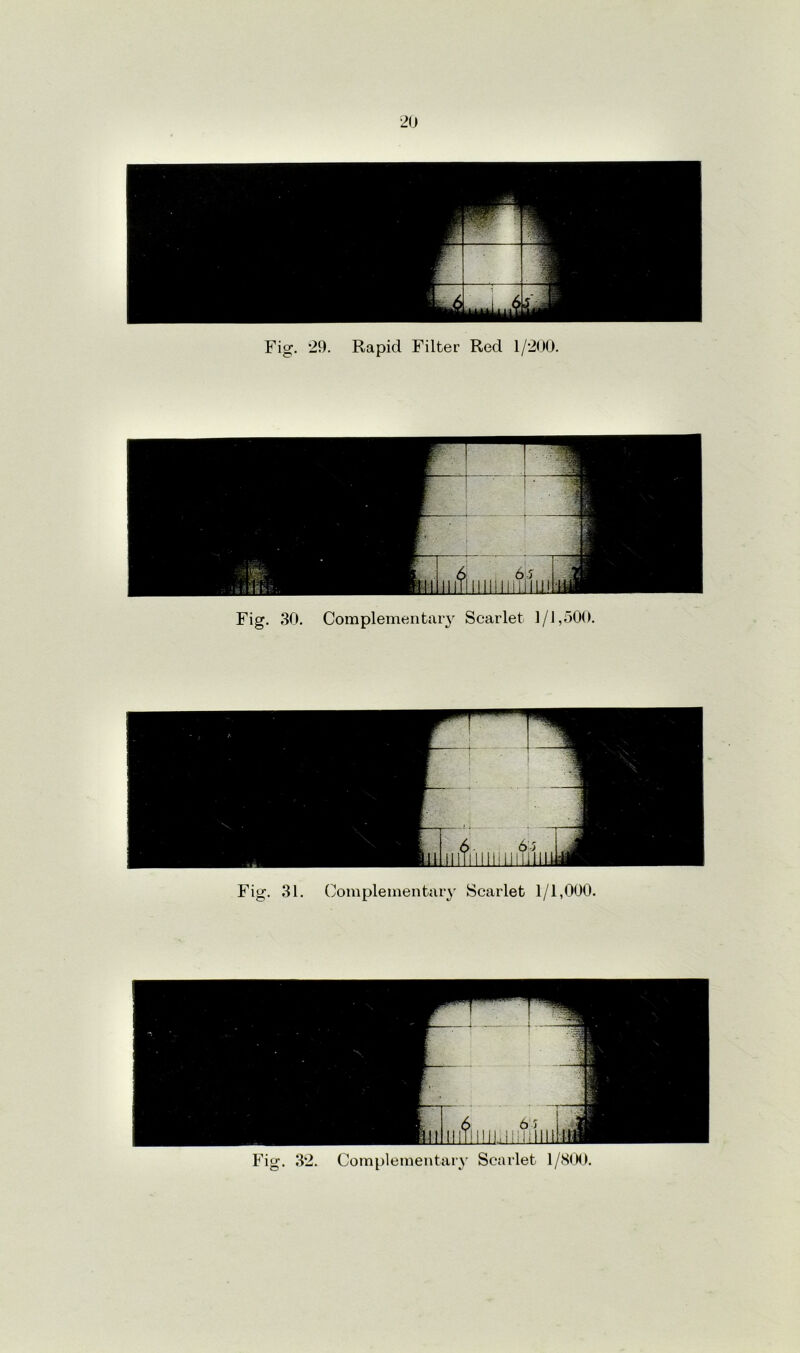 Fig. 29. Rapid Filter Red 1/200.
