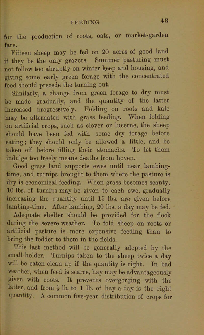 for the production of roots, oats, or market-garden fare. Fifteen sheep may be fed on 20 acres of good land if they be the only grazers. Summer pasturing must not follow too abruptly on winter keep and housing, and giving some early green forage with the concentrated food should precede the turning out. Similarly, a change from green forage to dry must be made gradually, and the quantity of the latter increased progressively. Folding on roots and kale may be alternated with grass feeding. When folding on artificial crops, such as clover or lucerne, the sheep should have been fed with some dry forage before eating; they should only be allowed a little, and be taken off before filling their stomachs. To let them indulge too freely means deaths from hoven. Good grass land supports ewes until near lambing- time, and turnips brought to them where the pasture is dry is economical feeding. When grass becomes scanty, 10 lbs. of turnips may be given to each ewe, gradually increasing the quantity until 15 lbs. are given before lambing-time. After lambing, 20 lbs. a day may be fed. Adequate shelter should be provided for the flock during the severe weather. To fold sheep on roots or artificial pasture is more expensive feeding than to bring the fodder to them in the fields. This last method will be generally adopted by the small-holder. Turnips taken to the sheep twice a day will be eaten clean up if the quantity is right. In bad weather, when feed is scarce, hay may be advantageously given with roots. It prevents overgorging with the latter, and from ^ lb. to 1 lb. of hay a day is the right quantity. A common five-year distribution of crops for