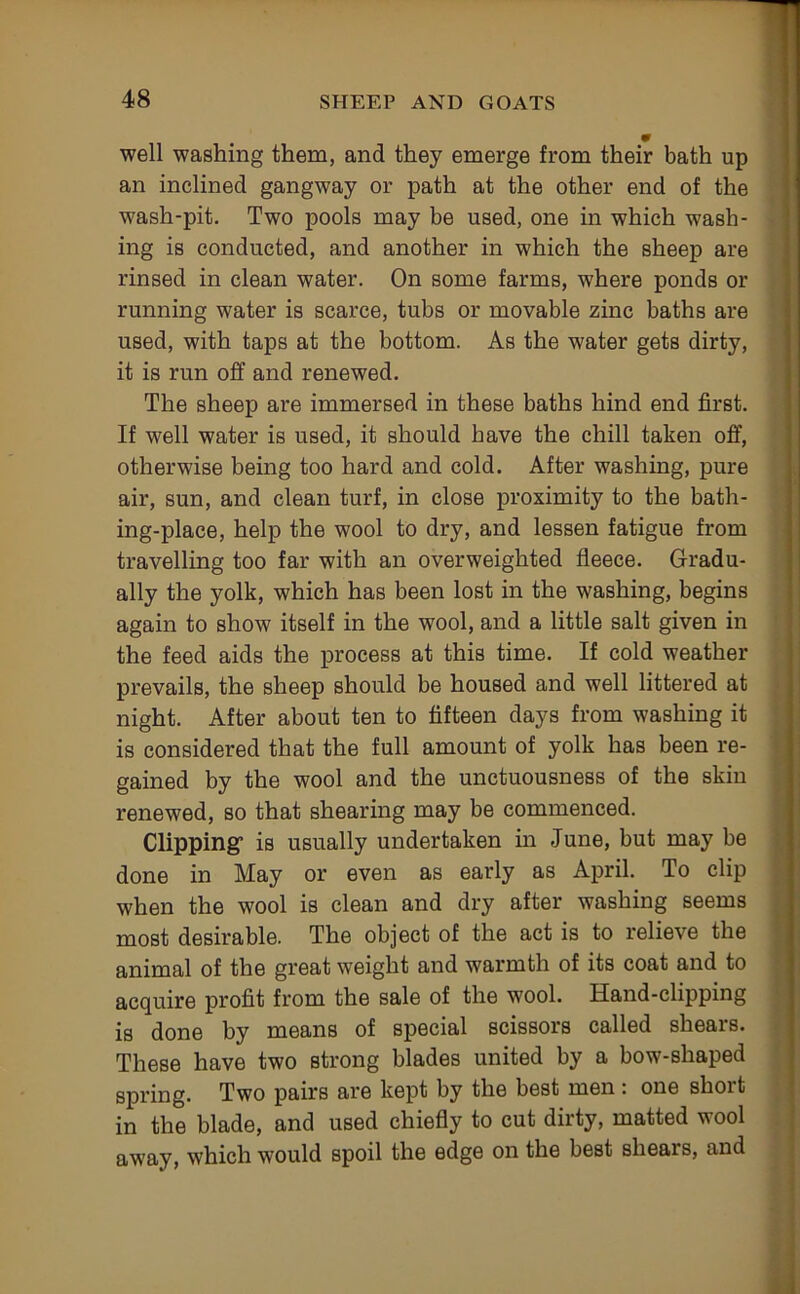 9 well washing them, and they emerge from their bath up an inclined gangway or path at the other end of the wash-pit. Two pools may be used, one in which wash- ing is conducted, and another in which the sheep are rinsed in clean water. On some farms, where ponds or running water is scarce, tubs or movable zinc baths are used, with taps at the bottom. As the water gets dirty, it is run off and renewed. The sheep are immersed in these baths hind end first. If well water is used, it should have the chill taken off, otherwise being too hard and cold. After washing, pure air, sun, and clean turf, in close proximity to the bath- ing-place, help the wool to dry, and lessen fatigue from travelling too far with an overweighted fleece. Gradu- ally the yolk, which has been lost in the washing, begins again to show itself in the wool, and a little salt given in the feed aids the process at this time. If cold weather prevails, the sheep should be housed and well littered at night. After about ten to fifteen days from washing it is considered that the full amount of yolk has been re- gained by the wool and the unctuousness of the skin renewed, so that shearing may be commenced. Clipping” is usually undertaken in June, but may be done in May or even as early as April. To clip when the wool is clean and dry after washing seems most desirable. The object of the act is to relieve the animal of the great weight and warmth of its coat and to acquire profit from the sale of the wool. Hand-clipping is done by means of special scissors called shears. These have two strong blades united by a bow-shaped spring. Two pairs are kept by the best men : one short in the blade, and used chiefly to cut dirty, matted wool away, which would spoil the edge on the best shears, and