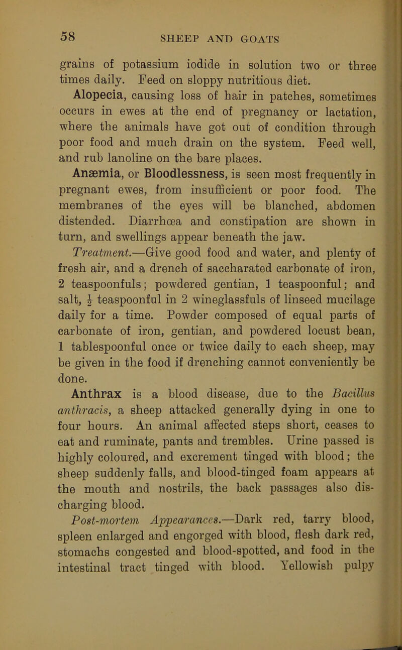 grains of potassium iodide in solution two or three times daily. Feed on sloppy nutritious diet. Alopecia, causing loss of hair in patches, sometimes occurs in ewes at the end of pregnancy or lactation, where the animals have got out of condition through poor food and much drain on the system. Feed well, and rub lanoline on the bare places. Anaemia, or Bloodlessness, is seen most frequently in pregnant ewes, from insufficient or poor food. The membranes of the eyes will be blanched, abdomen distended. Diarrhoea and constipation are shown in turn, and swellings appear beneath the jaw. Treatment.—Give good food and water, and plenty of ' fresh air, and a drench of saccharated carbonate of iron, 1 2 teaspoonfuls; powdered gentian, 1 teaspoonful; and ^ salt, J teaspoonful in 2 wineglassfuls of linseed mucilage ’■ daily for a time. Powder composed of equal parts of ' carbonate of iron, gentian, and powdered locust bean, i 1 tablespoonful once or twice daily to each sheep, may 1 be given in the food if drenching cannot conveniently be done. Anthrax is a blood disease, due to the Bacillus : anthracis, a sheep attacked generally dying in one to four hours. An animal affected steps short, ceases to eat and ruminate, pants and trembles. Urine passed is highly coloured, and excrement tinged with blood; the sheep suddenly falls, and blood-tinged foam appears at the mouth and nostrils, the back passages also dis- charging blood. Post-mortem Appearances.—Dark red, tarry blood, spleen enlarged and engorged with blood, flesh dark red, stomachs congested and blood-spotted, and food in the intestinal tract tinged with blood. Yellowish pulpy