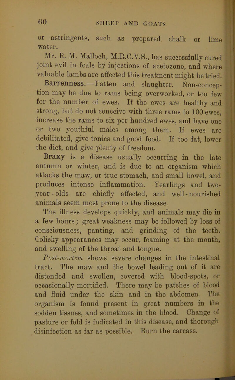 or astringents, such as prepared chalk or lime water. Mr. E. M. Malloch, M.E.C.V.S., has successfully cured joint evil in foals by injections of acetozone, and where valuable lambs are affected this treatment might be tried. Barrenness.—Fatten and slaughter. Non-concep- tion may be due to rams being overworked, or too few for the number of ewes. If the ewes are healthy and strong, but do not conceive with three rams to 100 ewes, increase the rams to six per hundred ewes, and have one or two youthful males among them. If ewes are debilitated, give tonics and good food. If too fat, lower the diet, and give plenty of freedom. Braxy is a disease usually occurring in the late autumn or winter, and is due to an organism which attacks the maw, or true stomach, and small bowel, and produces intense inflammation. Yearlings and two- year - olds are chiefly affected, and well - nourished animals seem most prone to the disease. The illness develops quickly, and animals may die in a few hours; great weakness may be followed by loss of consciousness, panting, and grinding of the teeth. Colicky ajppearances may occur, foaming at the mouth, and swelling of the throat and tongue. Post-mortem shows severe changes in the intestinal tract. The maw and the bowel leading out of it are distended and swollen, covered with blood-spots, or occasionally mortified. There may be patches of blood and fluid under the skin and in the abdomen. The organism is found present in great numbers in the sodden tissues, and sometimes in the blood. Change of pasture or fold is indicated in this disease, and thorough disinfection as far as possible. Burn the carcass.