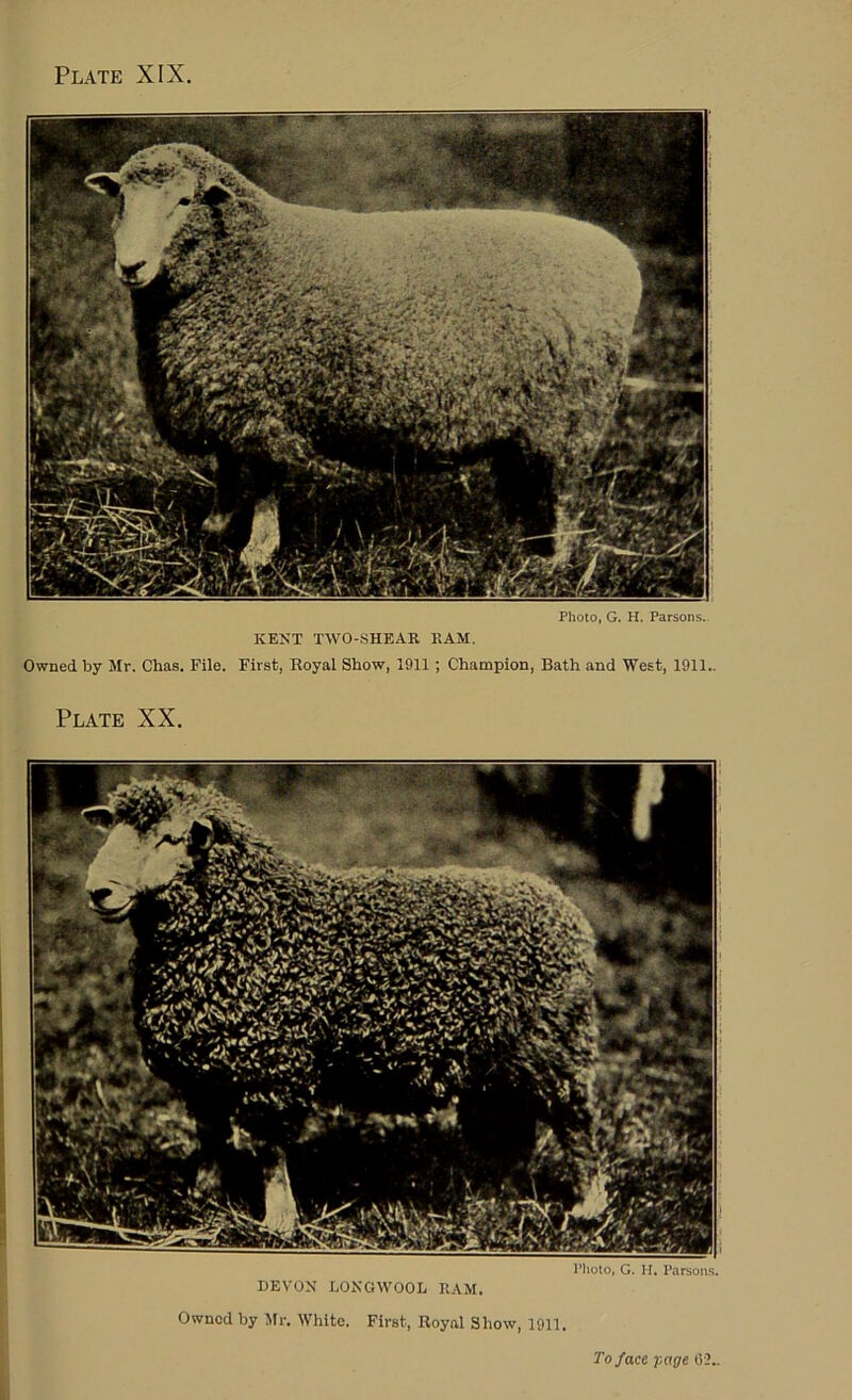 Owned by Mr. Chas. File. Photo, G. H. Parsons. KENT TWO-SHEAR RAM. First, Royai Show, 1911 ; Champion, Bath and West, 1911.. Plate XX. DEVON I.ONGWOOL RAM. Owned by ^Ir. White. First, Royal Show, 1911. i noto, o. 11. Parson;