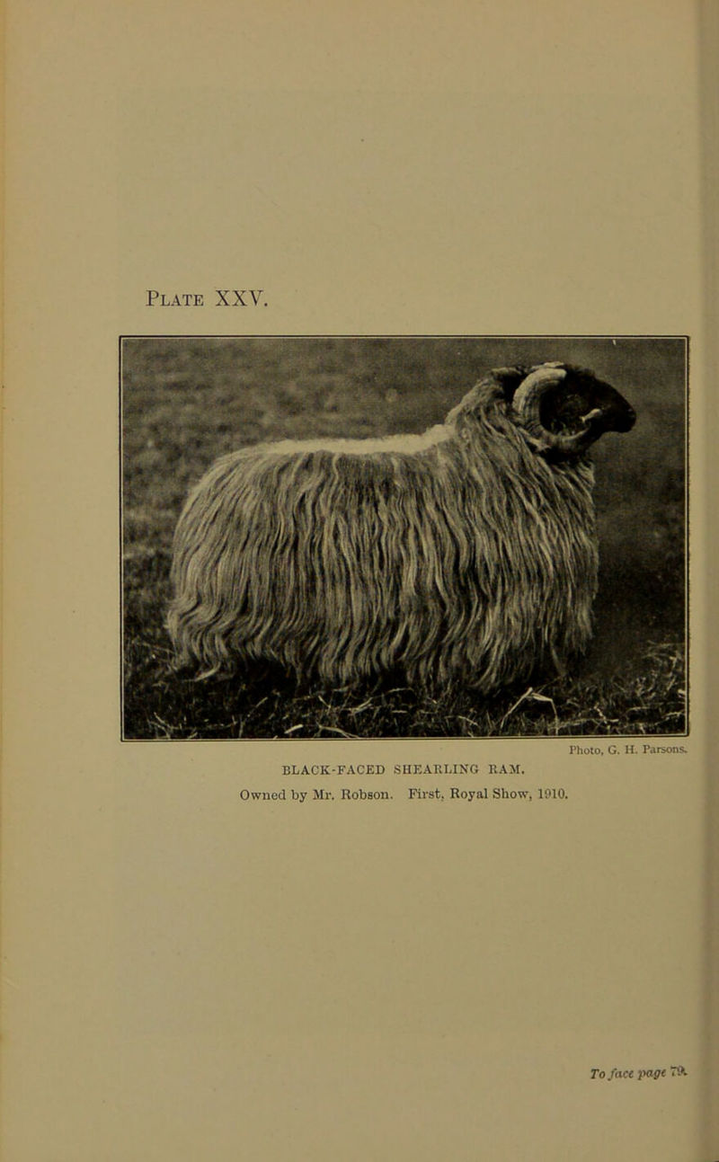 Plate XXV, Photo, G. H. Parsons. BLACK-FACED SHEARLING RAM. Owned by Mr. Robson. First, Royal Show, 1010. To face ]Kige T9i