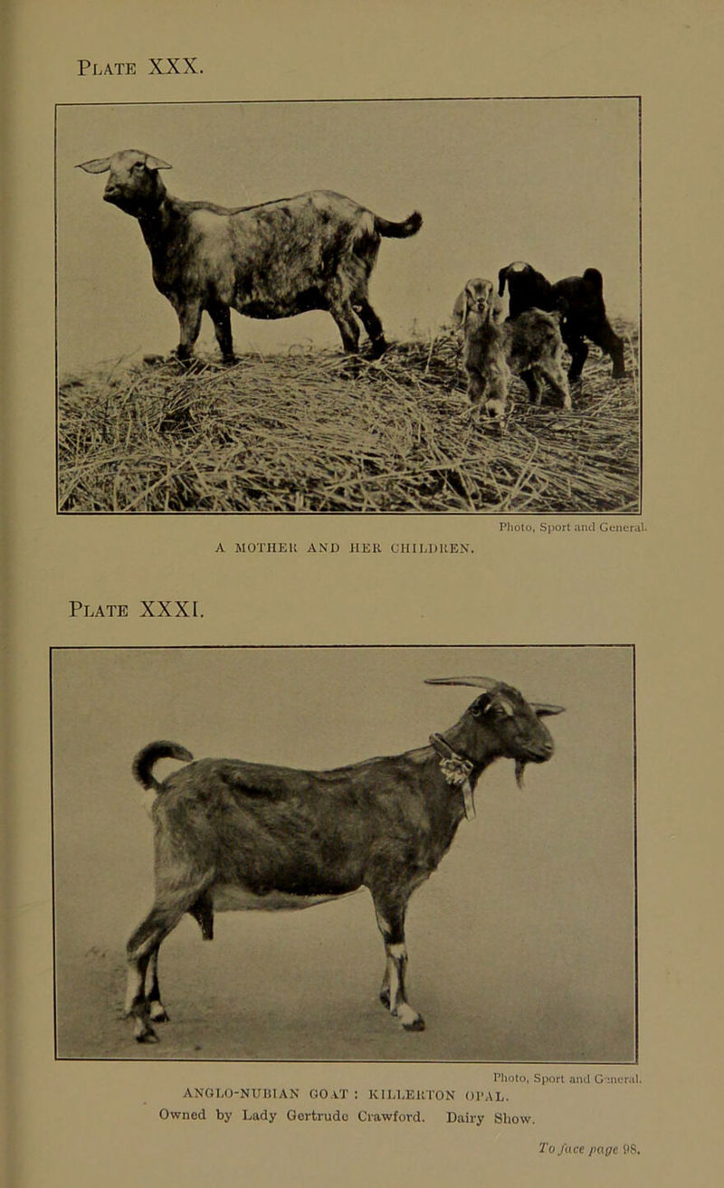 Plate XXX. Pliolo, Sport and General- A MOTHEK AND HER CHILDREN. Plate XXXI. Photo, Sport and G-mcral. ANGLO-NUBIAN GOVi' : KILLERTON OPAL. Owned by Lady Gertrude Crawford. Dairy SIiow. Tofuce page PS.