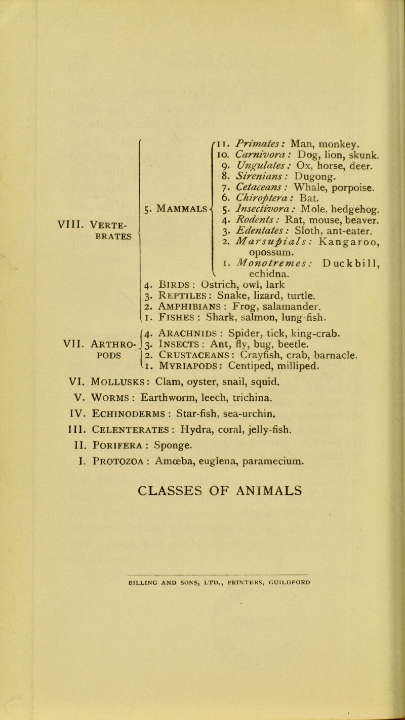 VIII. Verte- brates 4- 3- 2. , I. fii. Primates: Man, monkey, io. Carnivora : Dog, lion, skunk. 9. Ungulates: Ox, horse, deer. 8. Sirenians: Dugong. 7. Cetaceans: Whale, porpoise. 6. Chiroptera: Bat. 4. Rodents: Rat, mouse, beaver. 3. Edentates: Sloth, ant-eater. 2. Marsupials: Kangaroo, opossum. 1. M onotremes: Duckbill, echidna. Birds : Ostrich, owl, lark Reptiles : Snake, lizard, turtle. Amphibians : Frog, salamander. Fishes : Shark, salmon, lung-fish. VII. Arthro- pods 4. Arachnids : Spider, tick, king-crab. 3. Insects : Ant, fly, bug, beetle. 1 2. Crustaceans : Crayfish, crab, barnacle, vi. Myriapods: Centiped, milliped. VI. MOLLUSKS: Clam, oyster, snail, squid. V. Worms : Earthworm, leech, trichina. IV. Echinoderms : Star-fish, sea-urchin. III. CELENTERATES : Hydra, coral, jelly-fish. II. Porifera : Sponge. I. Protozoa : Amoeba, euglena, paramecium. CLASSES OF ANIMALS BILLING AND SONS, l.TD., PRINTERS, GUILDFORD