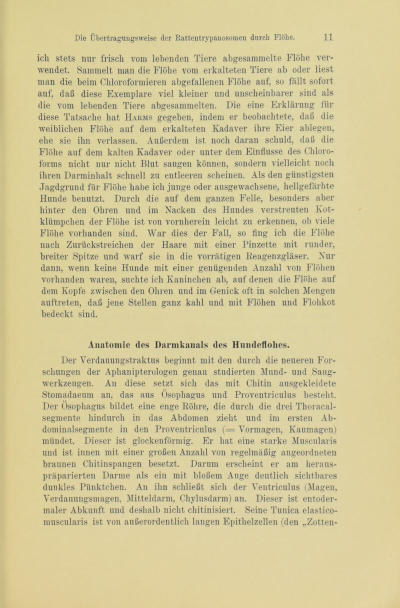 ich stets nur frisch vom lebenden Tiere abgesammelte Flöhe ver- wendet. Sammelt man die Flöhe vom erkalteten Tiere ab oder liest man die beim Chloroformieren abgefallenen Flöhe auf, so fällt sofort auf, daß diese Exemplare viel kleiner und unscheinbarer sind als die vom lebenden Tiere abgesammelten. Die eine Erklärung für diese Tatsache hat Harms gegeben, indem er beobachtete, daß die weiblichen Flöhe auf dem erkalteten Kadaver ihre Eier ablegen, ehe sie ihn verlassen. Außerdem ist noch daran schuld, daß die Flöhe auf dem kalten Kadaver oder unter dem Einflüsse des Chloro- forms nicht nur nicht Blut saugen können, sondern vielleicht noch ihren Darminhalt schnell zu entleeren scheinen. Als den günstigsten Jagdgrund für Flöhe habe ich junge oder ausgewachsene, hellgefärbte Hunde benutzt. Durch die auf dem ganzen Felle, besonders aber hinter den Ohren und im Nacken des Hundes verstreuten Kot- klümpchen der Flöhe ist von vornherein leicht zu erkennen, ob viele Flöhe vorhanden sind. War dies der Fall, so fing ich die Flöhe nach Zurückstreichen der Haare mit einer Pinzette mit runder, breiter Spitze und warf sie in die vorrätigen Reagenzgläser. Nur dann, wenn keine Hunde mit einer genügenden Anzahl von Flöhen vorhanden waren, suchte ich Kaninchen ab, auf denen die Flöhe auf dem Kopfe zwischen den Ohren und im Genick oft in solchen Mengen auftreten, daß jene Stellen ganz kahl und mit Flöhen und Flohkot bedeckt sind. Anatomie des Darmkanals des Hundeflolies. Der Verdauungstraktus beginnt mit den durch die neueren For- schungen der Aphanipterologen genau studierten Mund- und Saug- werkzeugen. An diese setzt sich das mit Chitin ausgekleidete Stomadaeum an, das aus Ösophagus und Proventriculus besteht. Der Ösophagus bildet eine enge Röhre, die durch die drei Thoracal- segmente hindurch in das Abdomen zieht und im ersten Ab- dominalsegmente in den Proventriculus (= Vormagen, Kaumagen) mündet. Dieser ist glockenförmig. Er hat eine starke Muscularis und ist innen mit einer großen Anzahl von regelmäßig angeordneten braunen Chitinspangen besetzt. Darum erscheint er am heraus- präparierten Darme als ein mit bloßem Auge deutlich sichtbares dunkles Pünktchen. An ihn schließt sich der Ventriculus (Magen, Verdauungsmagen, Mitteldarm, Chylusdarm) an. Dieser ist entoder- maler Abkunft und deshalb nicht chitinisiert. Seine Tunica elastico- muscularis ist von außerordentlich langen Epithelzellen (den „Zotten-