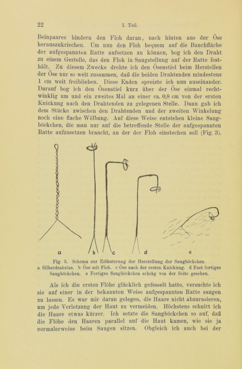 Beinpaares hindern den Floh daran, nach hinten aus der Öse herauszukriechen. Um nun den Floh bequem auf die Bauchfläche der aufgespannten Ratte aufsetzen zu können, bog ich den Draht zu einem Gestelle, das den Floh in Saugstellung auf der Ratte fest- hält. Zu diesem Zwecke drehte ich den Ösenstiel beim Herstellen der Öse nur so weit zusammen, daß die beiden Drahtenden mindestens 1 cm weit freiblieben. Diese Enden spreizte ich nun auseinander. Darauf bog ich den Ösenstiel kurz über der Öse einmal recht- winklig um und ein zweites Mal an einer ca. 0,8 cm von der ersten Knickung nach den Drahtenden zu gelegenen Stelle. Dann gab ich dem Stücke zwischen den Drahtenden und der zweiten Winkelung noch eine flache Wölbung. Auf diese Weise entstehen kleine Saug- böckchen, die man nur auf die betreffende Stelle der aufgespannten Ratte aufzusetzen braucht, an der der Floh einstechen soll (Fig. 3). Fig. 3. Schema zur Erläuterung der Herstellung der Saugböckchen. a Silberdrahtöse. b Öse mit Floh, c Öse nach der ersten Knickung, d Fast fertiges Saugböckchen. e Fertiges Saugböckchen schräg von der Seite gesehen. Als ich die ersten Flöhe glücklich gefesselt hatte, versuchte ich sie auf einer in der bekannten Weise aufgespannten Ratte saugen zu lassen. Es war mir daran gelegen, die Haare nicht abzurasieren, um jede Verletzung der Haut zu vermeiden. Höchstens schnitt ich die Haare etwas kürzer. Ich setzte die Saugböckchen so auf, daß die Flöhe den Haaren parallel auf die Haut kamen, wie sie ja normalerweise beim Saugen sitzen. Obgleich ich auch bei der