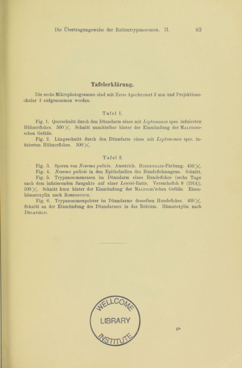 TafelerklSiruiig. Die sechs Mikrophotogramme sind mit Zeiss Apochromat 2 mm und Projektions- okular 4 auf genommen worden. Tafel 1. Fig. 1. Querschnitt durch den Dünndarm eines mit Leptomonas spec. infizierten Hühnerflohes. 500 X- Schnitt unmittelbar hinter der Einmündung der Malpighi- schen Gefäße. Fig. 2. Längsschnitt durch den Dünndarm eines mit Leptomonas spec. in- fizierten Hühnerflohes. 500 X- Tafel 2. Fig. 3. Sporen von Nosema pulicis. Ausstrich. HEiDENHAiN-Färbung. 450 X- Fig. 4. Nosema 'pulicis in den Epithelzellen des Hundeflohmagens. Schnitt. Fig. 5. Trypanosomenrasen im Dünndarm eines Hundeflohes (sechs Tage uach dem infizierenden Saugakte auf einer Lewisi-Ratte. Versuchsfloh 8 (1914)). 500 X- Schnitt kurz hinter der Einmündung der MALPiGHi’schen Gefäße. Eisen- hämatoxylin nach Rosenbüsch. Fig. 6. Trypanosomenpolster im Dünndarme desselben Hundeflohes. 400 X- Schnitt an der Einmündung des Dünndarmes in das Rektum. Hämatoxylin nach Delafield. 6*