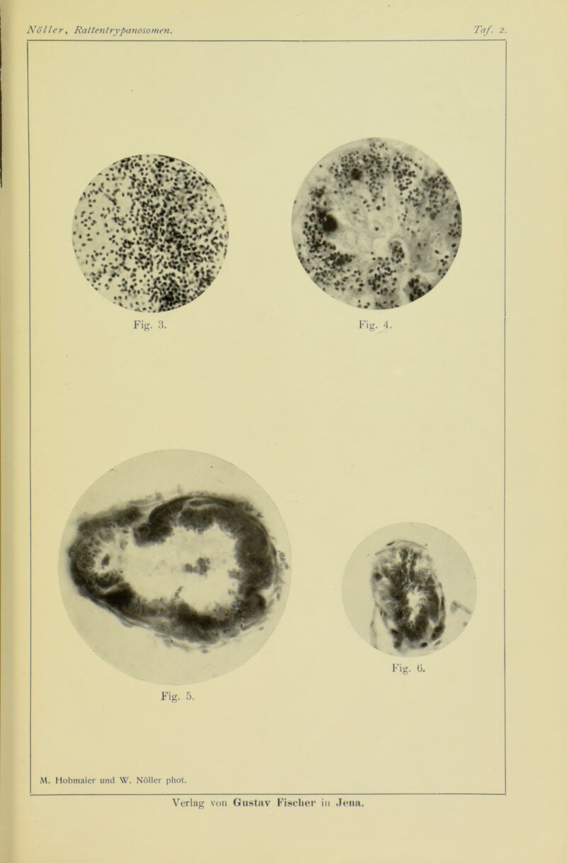 Fig. (3. Fig. 5. M. Hobmaier und W. Nöller pliot.