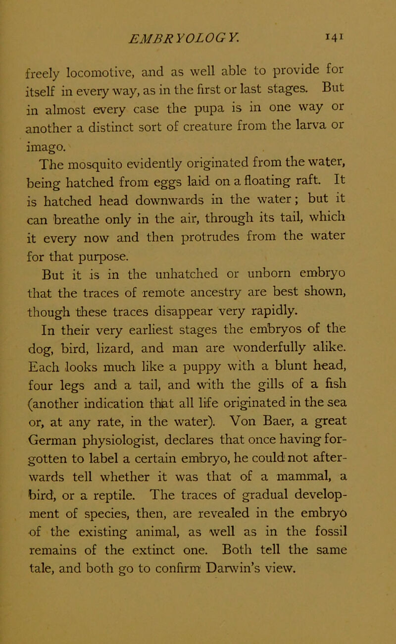 freely locomotive, and as well able to provide for itself in every way, as in the first or last stages. But in almost every case the pupa is in one way or another a distinct sort of creature from the larva or imago. The mosquito evidently originated from the water, being hatched from eggs laid on a floating raft. It is hatched head downwards in the water; but it can breathe only in the air, through its tail, which it every now and then protrudes from the water for that purpose. But it is in the unhatched or unborn embryo that the traces of remote ancestry are best shown, though these traces disappear very rapidly. In their very earliest stages the embryos of the dog, bird, lizard, and man are wonderfully alike. Each looks much like a puppy with a blunt head, four legs and a tail, and with the gills of a fish (another indication thlat all life originated in the sea or, at any rate, in the water). Von Baer, a great German physiologist, declares that once having for- gotten to label a certain embryo, he could not after- wards tell whether it was that of a mammal, a bird, or a reptile. The traces of gradual develop- ment of species, then, are revealed in the embryo of the existing animal, as well as in the fossil remains of the extinct one. Both tell the same tale, and both go to confirm Darwin’s view.
