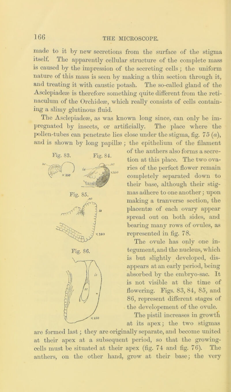 Fi 83. Fig. 84. KloO made to it by new secx’etioiis from the surface of the stigma itself. The apj:)arently cellular stimcture of the comjxlete mass is caused by the impression of the secreting cells; the uniform nature of this mass is seen by making a thin section through it, and treating it ^vith caustic potash. The so-called gland of the Asclepiadeax is therefore sometliing qixite different from the reti- naculxini of the Orchidese, which really consists of cells contain- ing a slimy glutinous fluid. The Ascleihadese, as was known long since, can only be im- pregnated by insects, or artificially. The jxlace where the |xjllen-tubes can penetrate lies close under the stigma, fig. 75 (a), and is showai by long papillje ; the epithelium of the filament of the anthers also forms a secre- tion at this place. The two ova- ries of the perfect flower remain completely separated down to theii* base, although their stig- mas adhere to one another; ujxon making a tranverse section, the placentfE of each ovary appear spread out on both sides, and bearing many rows of ovules, as represented m fig. 78. The ovule has only one in- tegument, and the nucleus, which is but slightly developed, dis- appeai’S at an early period, being absorbed by the embryo-sac. It is not visible at the time of fiowei’ing. Figs. 83, 84, 85, and 86, represent different stages of the developement of the o'vuile. The pistil increases in growth at its apex; the two stigmas are formed last; they are originally separate, and become united at their apex at a subsequent period, so that the growing- cells must be situated at their apex (fig. 74 and fig. 76). The antliers, on the other hand, grow at their base; the very Fig. 85. ,no