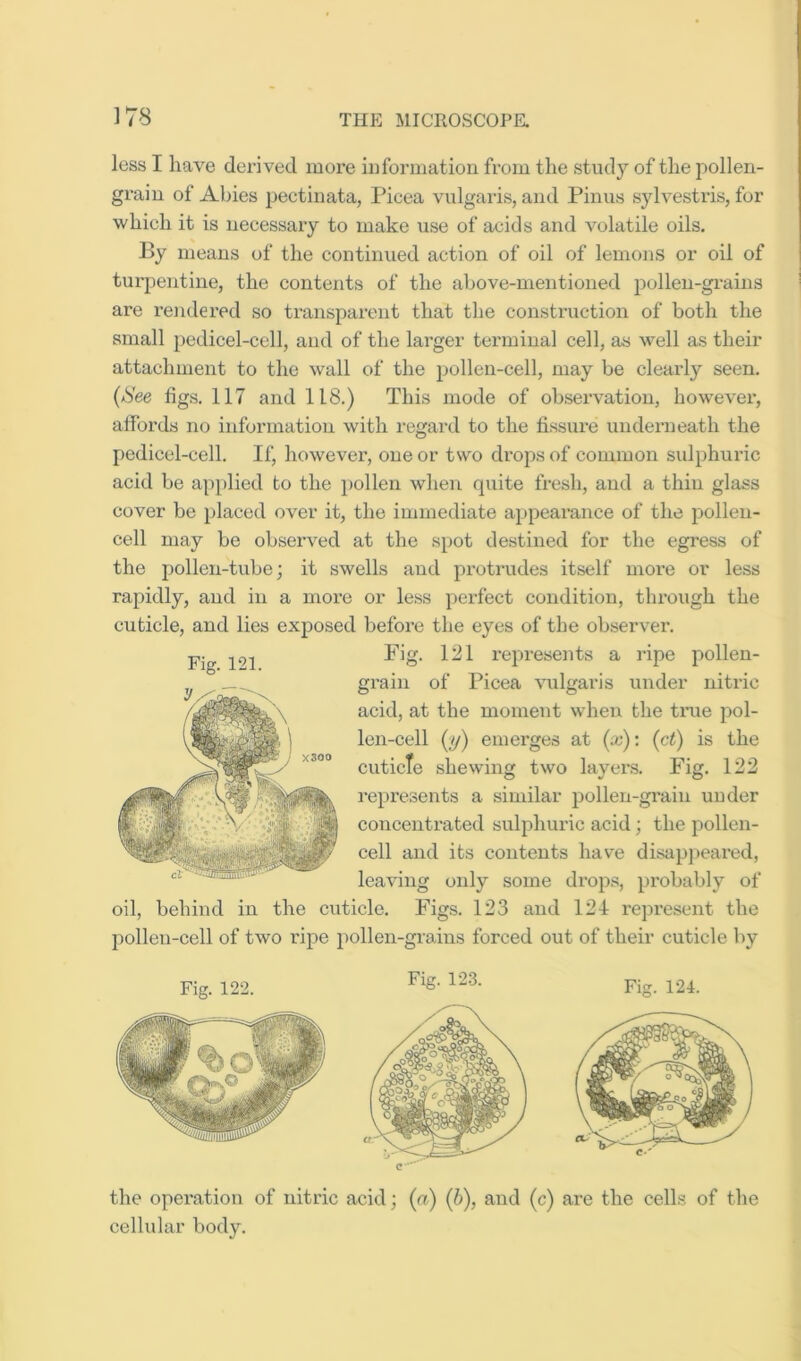 less I have derived more information from the study of the pollen- grain of Abies pectinata, Picea vulgaris, and Pinus sylvestris, for which it is necessary to make use of acids and volatile oils. By means of the continued action of oil of lemons or oil of turpentine, the contents of the above-mentioned pollen-grains are rendered so transparent that the construction of both the small pedicel-cell, and of the larger tenninal cell, as well as their attachment to the wall of the pollen-cell, may be cleai-ly seen. (iSee figs. 117 and 118.) This mode of observation, however, affords no information with regard to the fissure underneath the pedicel-cell. If, however, one or two drops of common sulphuric acid be ap[)lied to the pollen when quite fresh, and a thin glass cover be placed over it, the immediate appearance of the pollen- cell may be observed at the spot destined for the egress of the pollen-tube; it swells and protrudes itself more or less rapidly, and in a more or less perfect condition, through the cuticle, and lies exposed before the eyes of the observer. Pig. 121 represents a ripe pollen- grain of Picea vulgaris under nitric acid, at the moment when the true pol- len-cell (_y) emerges at (x): (ct) is the cuticle shewing two layers. Fig. 122 represents a similar pollen-grain under concentrated sulphuric acid; the pollen- cell and its contents have disapj)eared, leaving only some drops, probably of oil, behind in the cuticle. Figs. 123 and 124 repi’esent the pollen-cell of two ripe pollen-grains forced out of their cuticle by Fig. 121. Fig. 122. 123. Fig. 124. C the operation of nitric acid; (a) (b), and (c) are the cells of the cellular body.