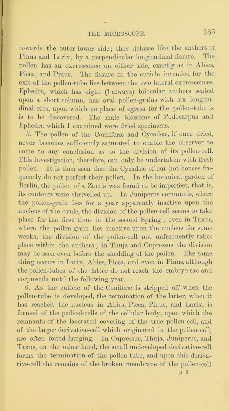towards tlie outer lower side; they dehisce like the anthers of Pinus and Larix, by a perpendicular longitudinal fissure. The pollen has an excrescence on either side, exactly as in Abies, Picea, and Pinus. The fissure in the cuticle intended for the exit of the jiolleii-tube lies between the two lateral excrescences. Ejihedra, which has eight (1 always) bilocular anthers seated upon a short column, has oval pollen-grains with six longitu- dinal ribs, upon which no place of egress for the pollen-tube is is to be discovered. The male blossoms of Podocarpus and Ephedra which I examined were dried specimens. 5. The pollen of the Corniferje and Cycadece, if once dried, never becomes sufficiently saturated to enable the observer to come to any conclusion as to the division of its pollen-cell. Tins investigation, therefore, can only be undertaken with fresh pollen. It is then seen that the Cycadete of our hot-houses fre- quently do not perfect their pollen. In the botanical garden of Berlin, the pollen of a Zamia was found to be imperfect, that is, its contents w’ere shrivelled up. In Juniperus communis, where the iDollen-grain lies for a year apparently inactive upon the nucleus of the ovule, the division of the pollen-cell seems to take place for the first time in the second Spring ; even in Taxus, where the pollen-grain lies inactive ujDon the nucleus for some weeks, the division of the pollen-cell not unfrequently takes place within the anthers; in Thuja and Cupressus the division may be seen even befoi’e the shedding of the pollen. The same thing occurs in Larix, Abies, Picea, and even in Pinus, although the 23ollen-tubes of the latter do not reach the embryo-sac and coiqmscula until the following year. G. As the cuticle of the Coniferfe is sti'ipped off when the pollen-tube is develojoed, the termination of the latter, when it has reached the nucleus in Abies, Picea, Pinus, and Larix, is formed of the j)edicel-cells of the cellular body, ujDon which the remnants of the lacerated covering of the true 2)ollen-cell, and of the lai'ger dexdvative-cell which originated in the j^ollen-cell, are often found hanging. In Cu^wessus, Thuja, Juniperus, and Taxus, on the other hand, the small undevelojxed dei’ivative-cell forms the termination of the pollen-tube, and iqion this deriva- tive-cell the remains of the broken membrane of the pollen-cell R 5
