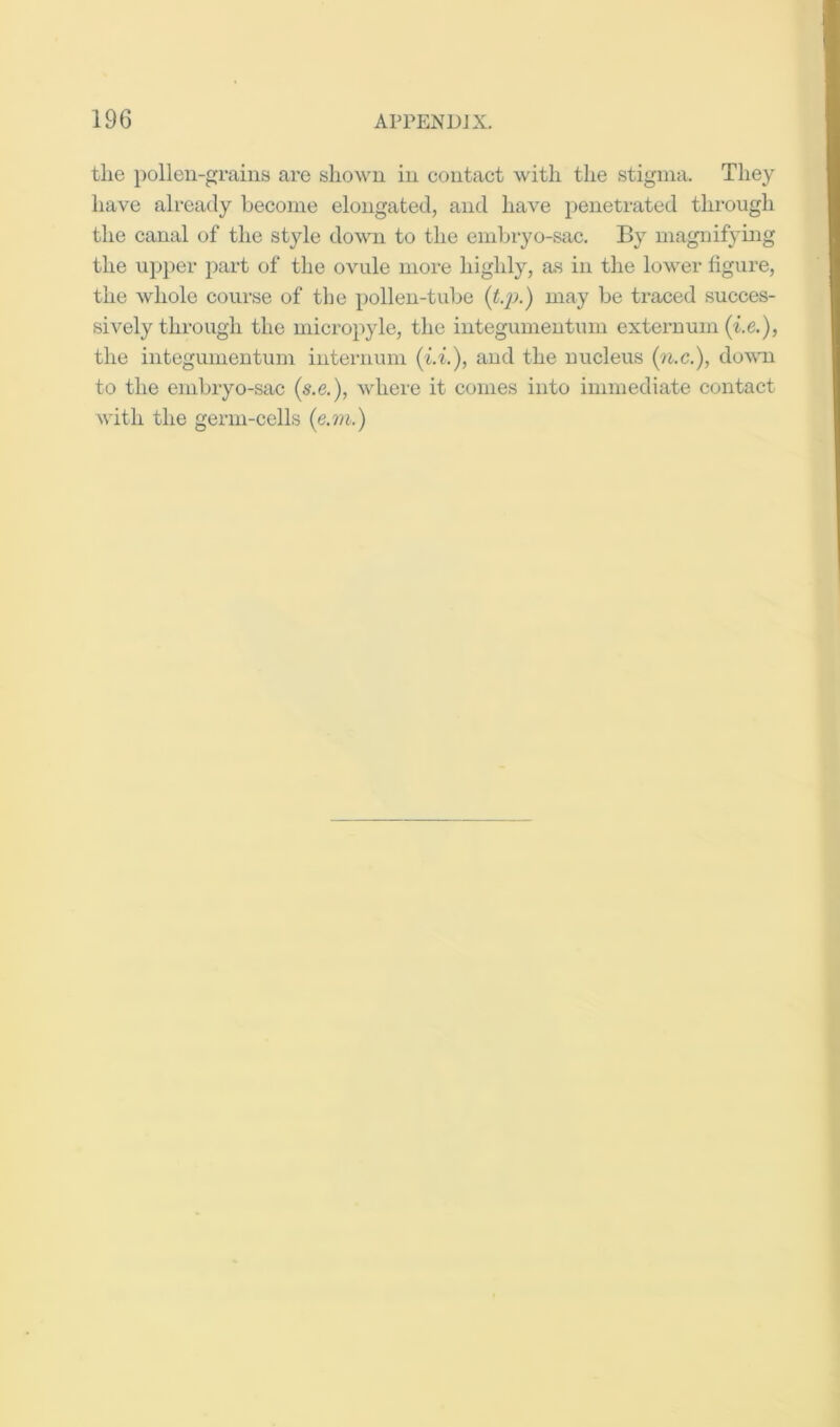 the pollen-grains are shown in contact with the stigma. They have already become elongated, and have penetrated through the canal of the st}de down to the embryo-sac. By magnifying the upper part of the ovule more highly, as in the lower figure, the whole course of the pollen-tube {t.}).) may be traced succes- sively through the micropyle, the integumeutum externum (t.e.), the integumentum intenium {i.i.), and the nucleus (?i.c.), dowm to the embryo-sac {s.e.), where it conies into immediate contact with the germ-cells {e.m.)