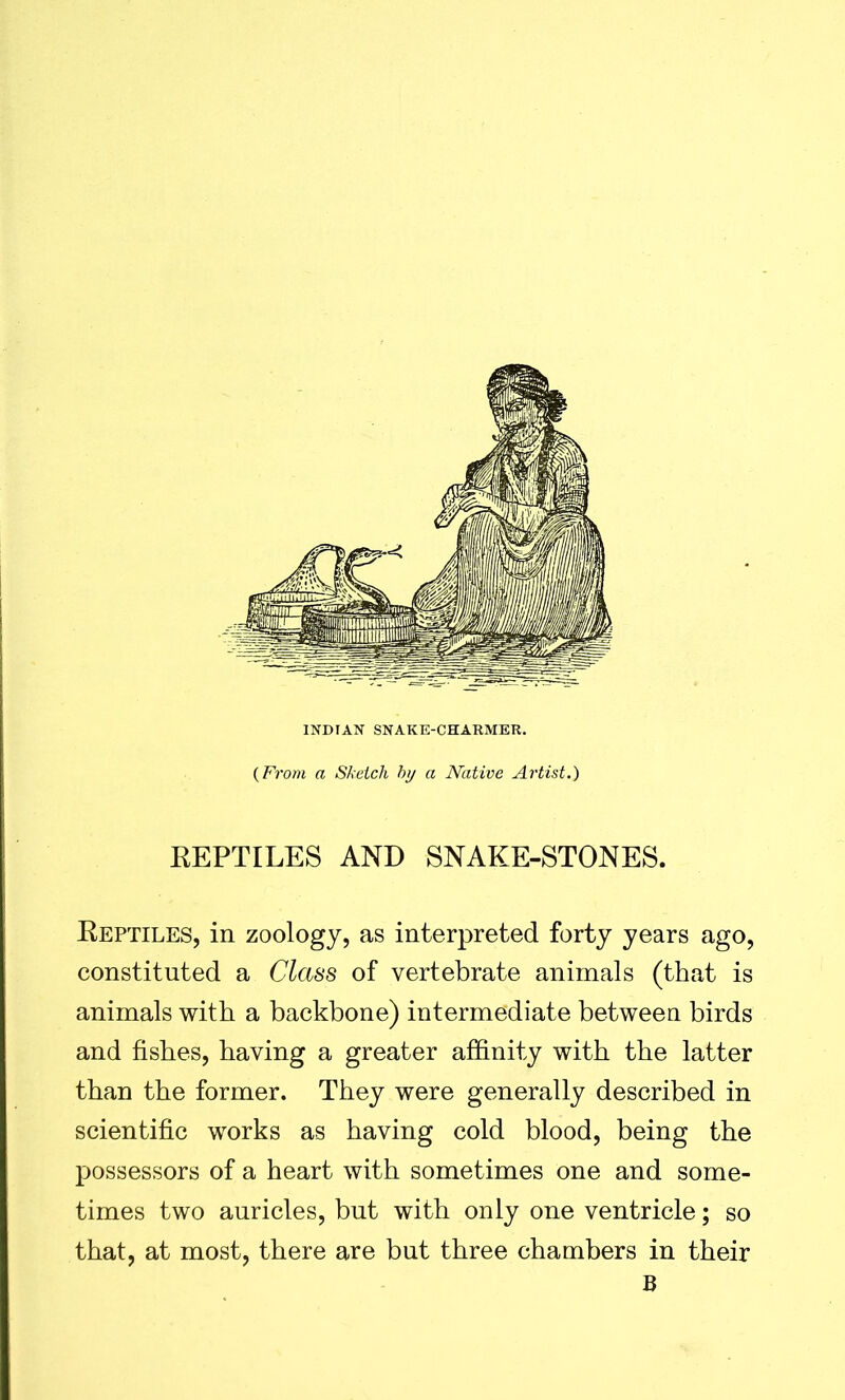 INDIAN SNAKE-CHARMER. (From, a Sketch by a Native Artist.) REPTILES AND SNAKE-STONES. Reptiles, in zoology, as interpreted forty years ago, constituted a Class of vertebrate animals (that is animals with a backbone) intermediate between birds and fishes, having a greater affinity with the latter than the former. They were generally described in scientific works as having cold blood, being the possessors of a heart with sometimes one and some- times two auricles, but with only one ventricle; so that, at most, there are but three chambers in their B