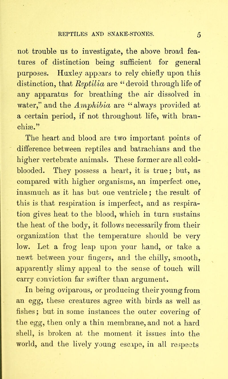 not trouble us to investigate, the above broad fea- tures of distinction being sufficient for general purposes. Huxley appears to rely chiefly upon this distinction, that Reptilia are 44 devoid through life of any apparatus for breathing the air dissolved in water,” and the Amphibia are 44 always provided at a certain period, if not throughout life, with bran- chiae.” The heart and blood are two important points of difference between reptiles and batrachians and the higher vertebrate animals. These former are all cold- blooded. They possess a heart, it is true; but, as compared with higher organisms, an imperfect one, inasmuch as it has but one ventricle; the result of this is that respiration is imperfect, and as respira- tion gives heat to the blood, which in turn sustains the heat of the body, it follows necessarily from their organization that the temperature should be very low. Let a frog leap upon your hand, or take a newt between your fingers, and the chilly, smooth, apparently slimy appeal to the sense of touch will carry conviction far swifter than argument. In being oviparous, or producing their young from an egg, these creatures agree with birds as well as fishes; but in some instances the outer covering of the egg, then only a thin membrane, and not a hard shell, is broken at the moment it issues into the world, and the lively young escape, in all respects