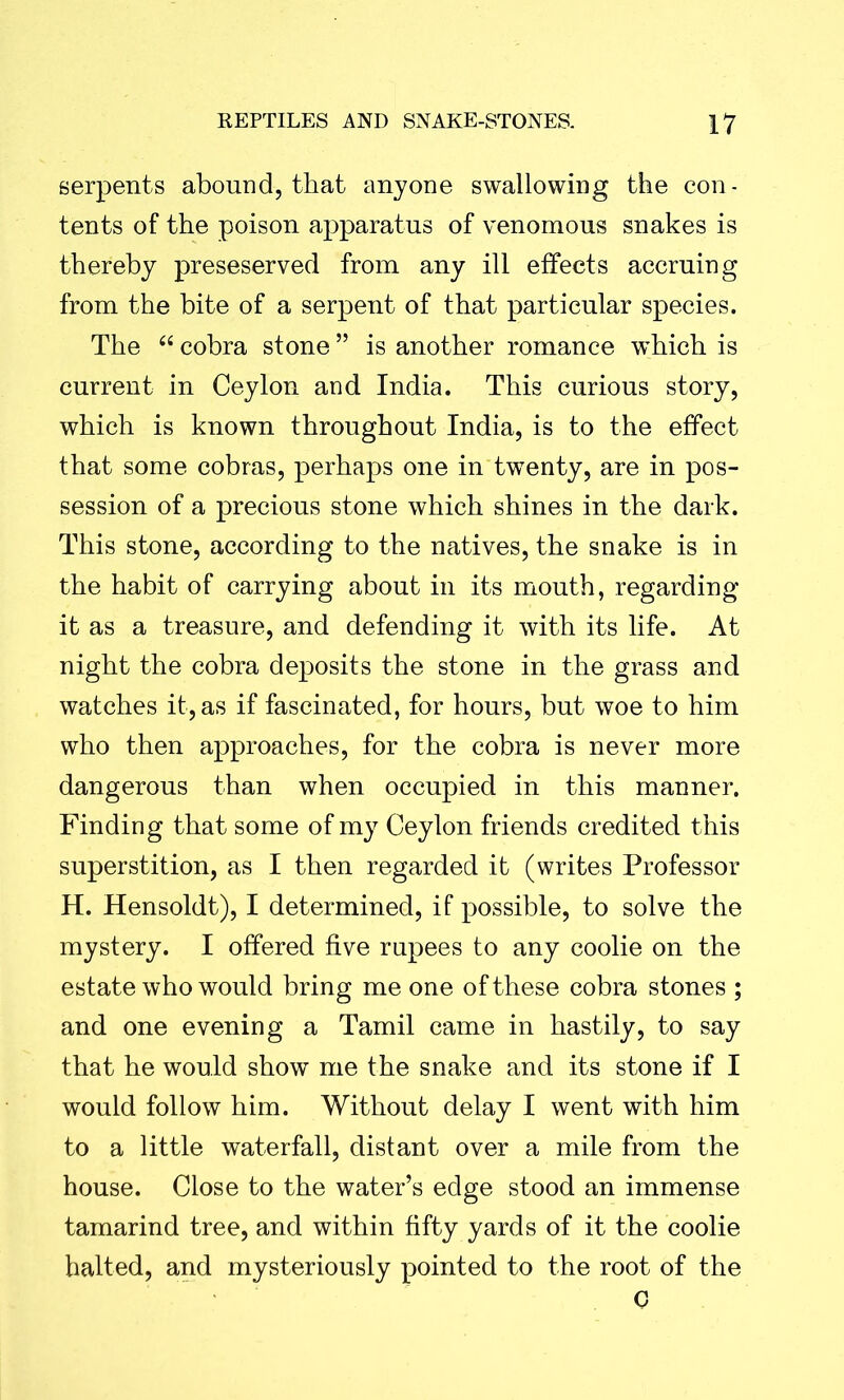 serpents abound, that anyone swallowing the con- tents of the poison apparatus of venomous snakes is thereby preseserved from any ill effects accruing from the bite of a serpent of that particular species. The “ cobra stone ” is another romance which is current in Ceylon and India. This curious story, which is known throughout India, is to the effect that some cobras, perhaps one in twenty, are in pos- session of a precious stone which shines in the dark. This stone, according to the natives, the snake is in the habit of carrying about in its mouth, regarding it as a treasure, and defending it with its life. At night the cobra deposits the stone in the grass and watches it, as if fascinated, for hours, but woe to him who then approaches, for the cobra is never more dangerous than when occupied in this manner. Finding that some of my Ceylon friends credited this superstition, as I then regarded it (writes Professor H. Hensoldt), I determined, if possible, to solve the mystery. I offered five rupees to any coolie on the estate who would bring me one of these cobra stones ; and one evening a Tamil came in hastily, to say that he would show me the snake and its stone if I would follow him. Without delay I went with him to a little waterfall, distant over a mile from the house. Close to the water’s edge stood an immense tamarind tree, and within fifty yards of it the coolie halted, and mysteriously pointed to the root of the