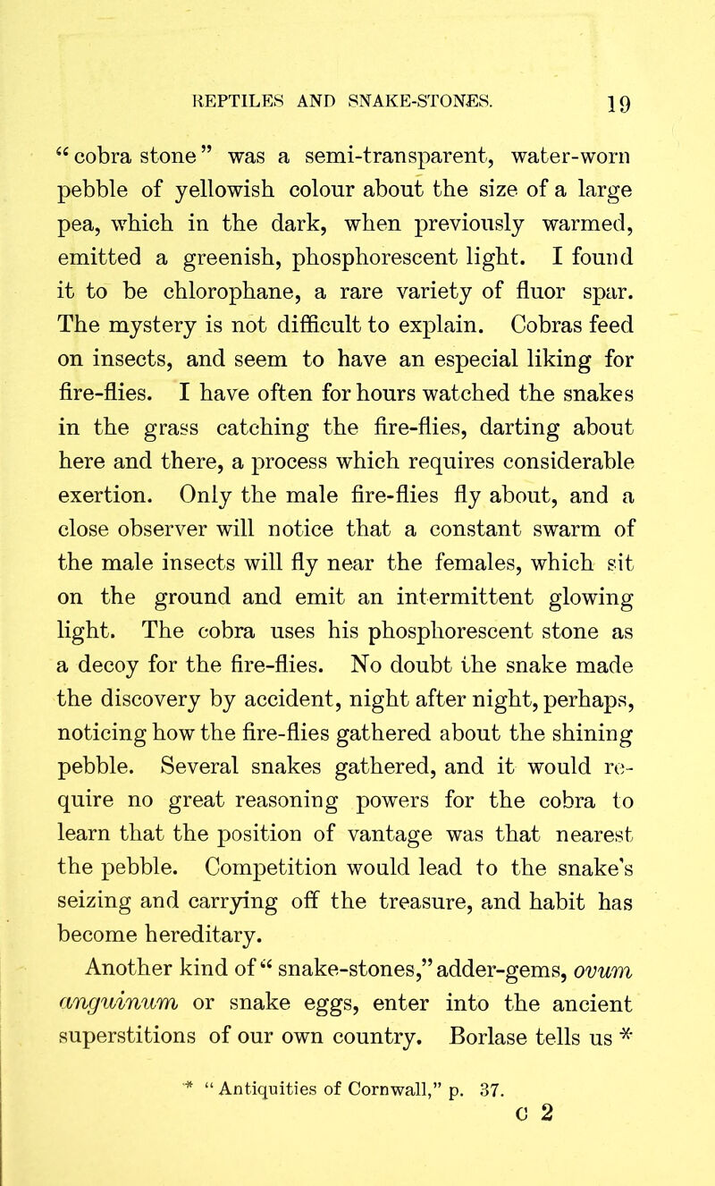 <c cobra stone ” was a semi-transparent, water-worn pebble of yellowish colour about the size of a large pea, which in the dark, when previously warmed, emitted a greenish, phosphorescent light. I found it to be chlorophane, a rare variety of fluor spar. The mystery is not difficult to explain. Cobras feed on insects, and seem to have an especial liking for fire-flies. I have often for hours watched the snakes in the grass catching the fire-flies, darting about here and there, a process which requires considerable exertion. Only the male fire-flies fly about, and a close observer will notice that a constant swarm of the male insects will fly near the females, which sit on the ground and emit an intermittent glowing light. The cobra uses his phosphorescent stone as a decoy for the fire-flies. No doubt the snake made the discovery by accident, night after night, perhaps, noticing how the fire-flies gathered about the shining pebble. Several snakes gathered, and it would re- quire no great reasoning powers for the cobra to learn that the position of vantage was that nearest the pebble. Competition would lead to the snake’s seizing and carrying off the treasure, and habit has become hereditary. Another kind of snake-stones,”adder-gems, ovum angwinum or snake eggs, enter into the ancient superstitions of our own country. Borlase tells us * 0 2 '* “ Antiquities of Cornwall,” p. 37.