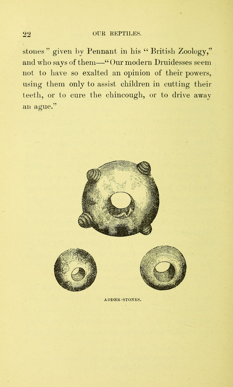 stones ” given by Pennant in bis 44 British Zoology/5 and who says of them—44 Onr modern Druidesses seem not to have so exalted an opinion of their powers, using them only to assist children in cutting their teeth, or to cure the chincough, or to drive away an ague.” ADDER-STONES.