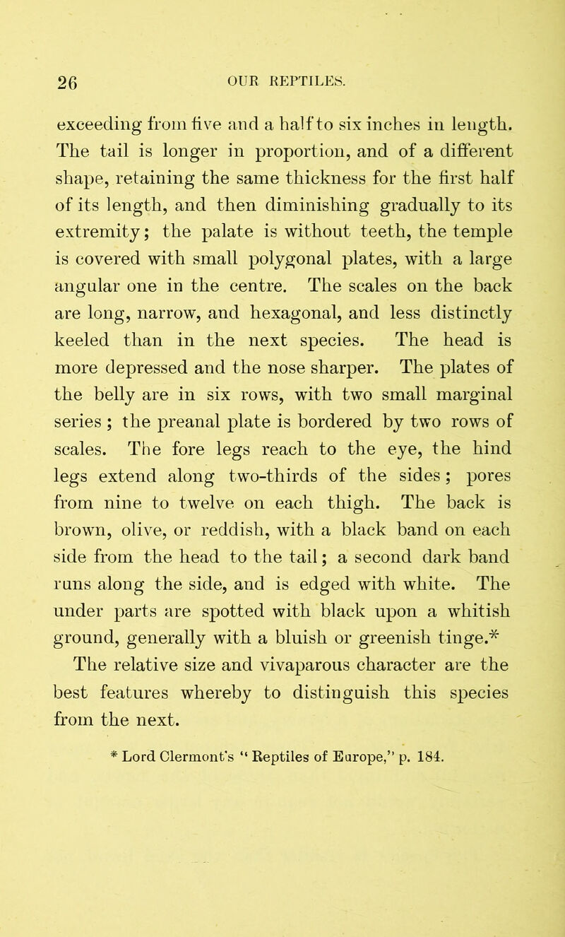 exceeding from five and a half to six inches in length. The tail is longer in proportion, and of a different shape, retaining the same thickness for the first half of its length, and then diminishing gradually to its extremity; the palate is without teeth, the temple is covered with small polygonal plates, with a large angular one in the centre. The scales on the back are long, narrow, and hexagonal, and less distinctly keeled than in the next species. The head is more depressed and the nose sharper. The plates of the belly are in six rows, with two small marginal series ; the preanal plate is bordered by two rows of scales. The fore legs reach to the eye, the hind legs extend along two-thirds of the sides; pores from nine to twelve on each thigh. The back is brown, olive, or reddish, with a black band on each side from the head to the tail; a second dark band runs along the side, and is edged with white. The under parts are spotted with black upon a whitish ground, generally with a bluish or greenish tinge.* The relative size and vivaparous character are the best features whereby to distinguish this species from the next. * Lord Clermont’s “ Reptiles of Europe,” p. 184.