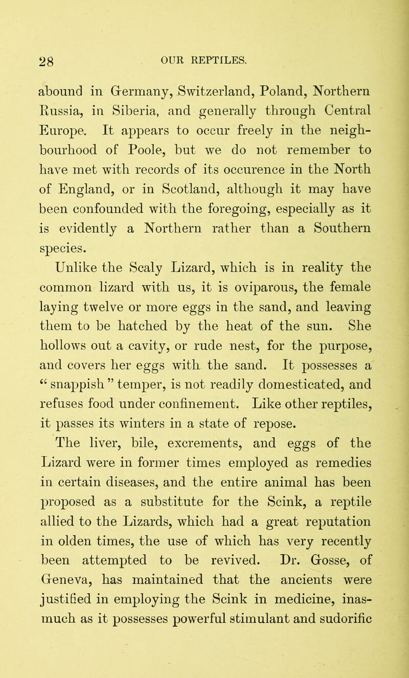 abound in Grermany, Switzerland, Poland, Northern Kussia, in Siberia, and generally through Central Europe. It appears to occur freely in the neigh- bourhood of Poole, but we do not remember to have met with records of its occurence in the North of England, or in Scotland, although it may have been confounded with the foregoing, especially as it is evidently a Northern rather than a Southern species. Unlike the Scaly Lizard, which is in reality the common lizard with us, it is oviparous, the female laying twelve or more eggs in the sand, and leaving them to be hatched by the heat of the sun. She hollows out a cavity, or rude nest, for the purpose, and covers her eggs with the sand. It possesses a “ snappish ” temper, is not readily domesticated, and refuses food under confinement. Like other reptiles, it passes its winters in a state of repose. The liver, bile, excrements, and eggs of the Lizard were in former times employed as remedies in certain diseases, and the entire animal has been proposed as a substitute for the Scink, a reptile allied to the Lizards, which had a great reputation in olden times, the use of which has very recently been attempted to be revived. Dr. Grosse, of Greneva, has maintained that the ancients were justified in employing the Scink in medicine, inas- much as it possesses powerful stimulant and sudorific