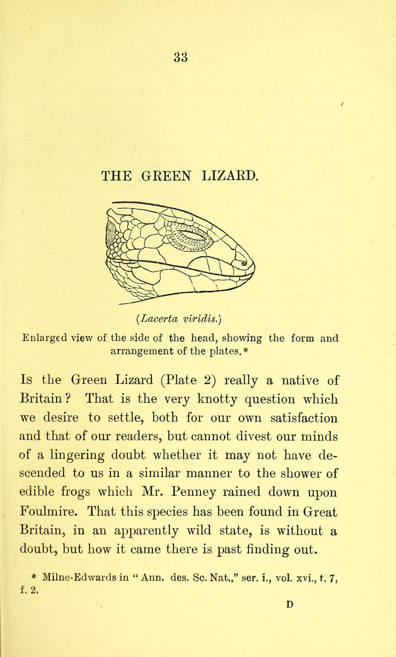 THE GREEN LIZARD. (Lacerta viridis.) Enlarged view of the side of the head, showing the form and arrangement of the plates.* Is the Green Lizard (Plate 2) really a native of Britain? That is the very knotty question which we desire to settle, both for our own satisfaction and that of our readers, but cannot divest our minds of a lingering doubt whether it may not have de- scended to us in a similar manner to the shower of edible frogs which Mr. Penney rained down upon Foulmire. That this species has been found in Great Britain, in an apparently wild state, is without a doubt, but how it came there is past finding out. * Milne*Edwards in “ Ann. des. Sc. Nat,,” ser. i., vol. xvi., t. 7, f. 2. D