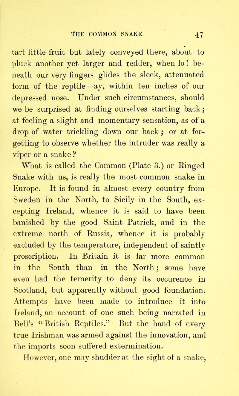 tart little fruit but lately conveyed there, about to pluck another yet larger and redder, when lo! be- neath our very fingers glides the sleek, attenuated form of the reptile—ay, within ten inches of our depressed nose. Under such circumstances, should we be surprised at finding ourselves starting back; at feeling a slight and momentary sensation, as of a drop of water trickling down our back; or at for- getting to observe whether the intruder was really a viper or a snake ? What is called the Common (Plate 3.) or Ringed Snake with us, is really the most common snake in Europe. It is found in almost every country from Sweden in the North, to Sicily in the South, ex- cepting Ireland, whence it is said to have been banished by the good Saint Patrick, and in the extreme north of Russia, whence it is probably excluded by the temperature, independent of saintly proscription. In Britain it is far more common in the South than in the North; some have even had the temerity to deny its occurence in Scotland, but apparently without good foundation. Attempts have been made to introduce it into Ireland, an account of one such being narrated in Bell’s “ British Reptiles.” But the hand of every true Irishman was armed against the innovation, and the imports soon suffered extermination. However, one may shudder at the sight of a snake,