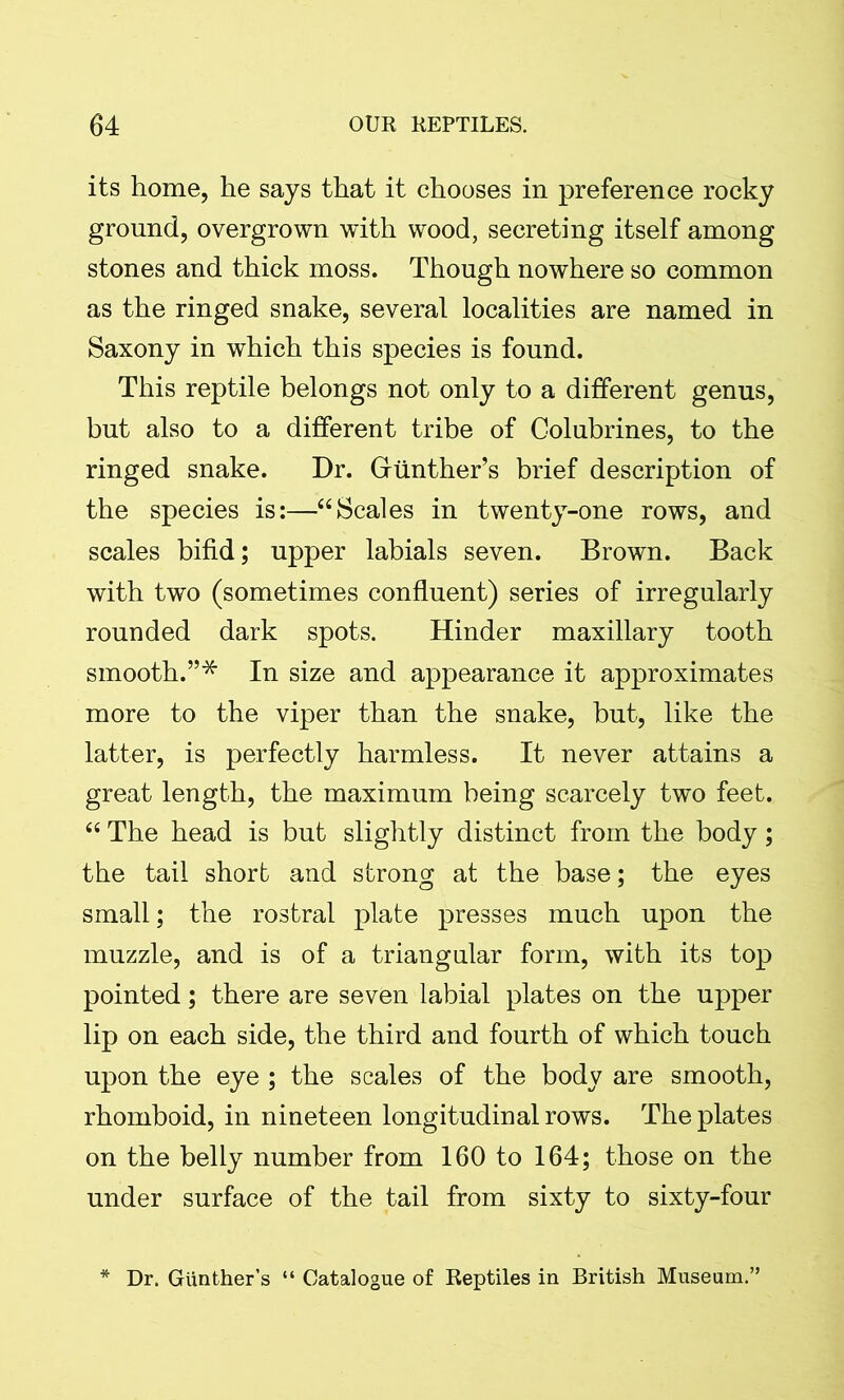 its home, he says that it chooses in preference rocky ground, overgrown with wood, secreting itself among stones and thick moss. Though nowhere so common as the ringed snake, several localities are named in Saxony in which this species is found. This reptile belongs not only to a different genus, but also to a different tribe of Colubrines, to the ringed snake. Dr. Grunther’s brief description of the species is:—“Scales in twenty-one rows, and scales bifid; upper labials seven. Brown. Back with two (sometimes confluent) series of irregularly rounded dark spots. Hinder maxillary tooth smooth.”* In size and appearance it approximates more to the viper than the snake, but, like the latter, is perfectly harmless. It never attains a great length, the maximum being scarcely two feet. “ The head is but slightly distinct from the body; the tail short and strong at the base; the eyes small; the rostral plate presses much upon the muzzle, and is of a triangular form, with its top pointed; there are seven labial plates on the upper lip on each side, the third and fourth of which touch upon the eye ; the scales of the body are smooth, rhomboid, in nineteen longitudinal rows. The plates on the belly number from 160 to 164; those on the under surface of the tail from sixty to sixty-four * Dr. Giinther’s “ Catalogue of Reptiles in British Museum.”