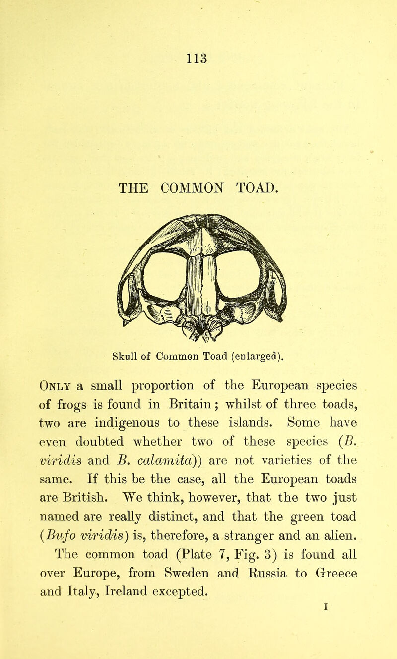 THE COMMON TOAD. Only a small proportion of the European species of frogs is found in Britain; whilst of three toads, two are indigenous to these islands. Some have even doubted whether two of these species (B. viridis and B. calamita)) are not varieties of the same. If this be the case, all the European toads are British. We think, however, that the two just named are really distinct, and that the green toad (Bufo viridis) is, therefore, a stranger and an alien. The common toad (Plate 7, Fig. 3) is found all over Europe, from Sweden and Russia to Greece and Italy, Ireland excepted. I