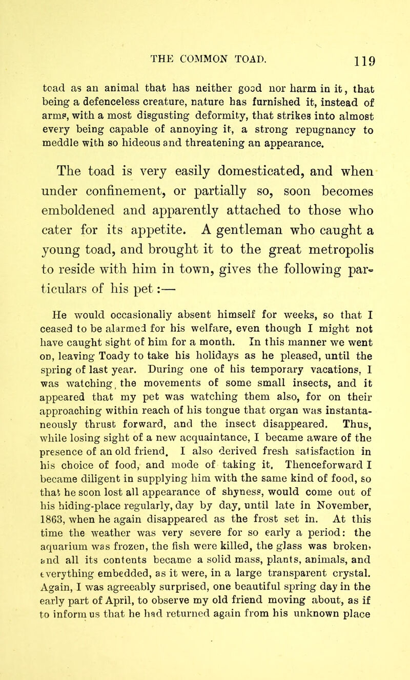 toad as an animal that has neither good nor harm in it, that being a defenceless creature, nature has furnished it, instead of armp, with a most disgusting deformity, that strikes into almost every being capable of annoying it, a strong repugnancy to meddle with so hideous and threatening an appearance. The toad is very easily domesticated, and when under confinement, or partially so, soon becomes emboldened and apparently attached to those who cater for its appetite. A gentleman who caught a young toad, and brought it to the great metropolis to reside with him in town, gives the following par- ticulars of his pet:— He would occasionally absent himself for weeks, so that I ceased to be alarmed for his welfare, even though I might not have caught sight of him for a month. In this manner we went on, leaving Toady to take his holidays as he pleased, until the spring of last year. During one of his temporary vacations, I was watching, the movements of some small insects, and it appeared that my pet was watching them also, for on their approaching within reach of his tongue that organ was instanta- neously thrust forward, and the insect disappeared. Thus, while losing sight of a new acquaintance, I became aware of the presence of an old friend. I also derived fresh satisfaction in his choice of food, and mode of taking it. Thenceforward I became diligent in supplying him with the same kind of food, so that he soon lost all appearance of shyness, would come out of his hiding-place regularly, day by day, until late in November, 1863, when he again disappeared as the frost set in. At this time the weather was very severe for so early a period: the aquarium was frozen, the fish were killed, the glass was broken* and all its contents became a solid mass, plants, animals, and everything embedded, as it were, in a large transparent crystal. Again, I was agreeably surprised, one beautiful spring day in the early part of April, to observe my old friend moving about, as if to inform us that he had returned again from his unknown place