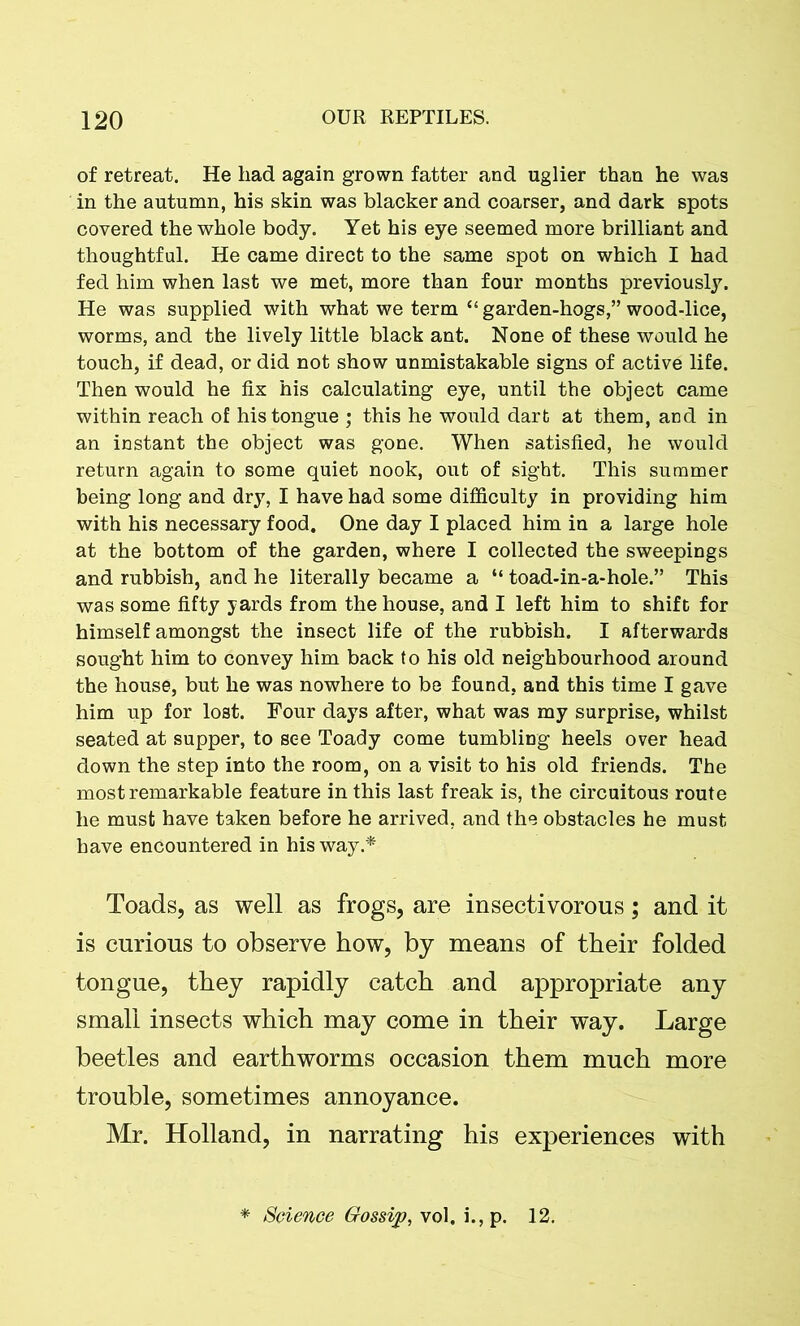 of retreat. He had again grown fatter and uglier than he was in the autumn, his skin was blacker and coarser, and dark spots covered the whole body. Yet his eye seemed more brilliant and thoughtful. He came direct to the same spot on which I had fed him when last we met, more than four months previously. He was supplied with what we term “ garden-hogs,” wood-lice, worms, and the lively little black ant. None of these would he touch, if dead, or did not show unmistakable signs of active life. Then would he fix his calculating eye, until the object came within reach of his tongue ; this he would dart at them, and in an instant the object was gone. When satisfied, he would return again to some quiet nook, out of sight. This summer being long and dry, I have had some difficulty in providing him with his necessary food. One day I placed him in a large hole at the bottom of the garden, where I collected the sweepings and rubbish, and he literally became a “ toad-in-a-hole.” This was some fifty yards from the house, and I left him to shift for himself amongst the insect life of the rubbish. I afterwards sought him to convey him back to his old neighbourhood around the house, but he was nowhere to be found, and this time I gave him up for lost. Four days after, what was my surprise, whilst seated at supper, to see Toady come tumbling heels over head down the step into the room, on a visit to his old friends. The most remarkable feature in this last freak is, the circuitous route he must have taken before he arrived, and the obstacles he must have encountered in his way.* Toads, as well as frogs, are insectivorous; and it is curious to observe how, by means of their folded tongue, they rapidly catch and appropriate any small insects which may come in their way. Large beetles and earthworms occasion them much more trouble, sometimes annoyance. Mr. Holland, in narrating his experiences with Science Gossip, vol. i., p. 12.