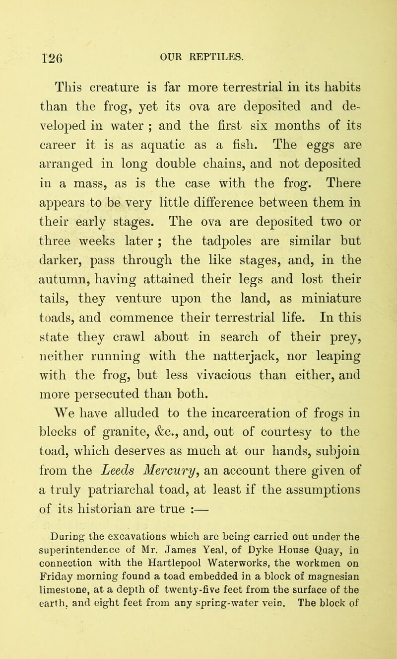 This creature is far more terrestrial in its habits than the frog, yet its ova are deposited and de- veloped in water ; and the first six months of its career it is as aquatic as a fish. The eggs are arranged in long double chains, and not deposited in a mass, as is the case with the frog. There appears to be very little difference between them in their early stages. The ova are deposited two or three weeks later ; the tadpoles are similar but darker, pass through the like stages, and, in the autumn, having attained their legs and lost their tails, they venture upon the land, as miniature toads, and commence their terrestrial life. In this state they crawl about in search of their prey, neither running with the natterjack, nor leaping with the frog, but less vivacious than either, and more persecuted than both. We have alluded to the incarceration of frogs in blocks of granite, &c., and, out of courtesy to the toad, which deserves as much at our hands, subjoin from the Leeds Mercury, an account there given of a truly patriarchal toad, at least if the assumptions of its historian are true :— Daring the excavations which are being carried out under the superintendence of Mr. James Yeal, of Dyke House Quay, in connection with the Hartlepool Waterworks, the workmen on Friday morning found a toad embedded in a block of magnesian limestone, at a depth of twenty-five feet from the surface of the earth, and eight feet from any spring-water vein. The block of