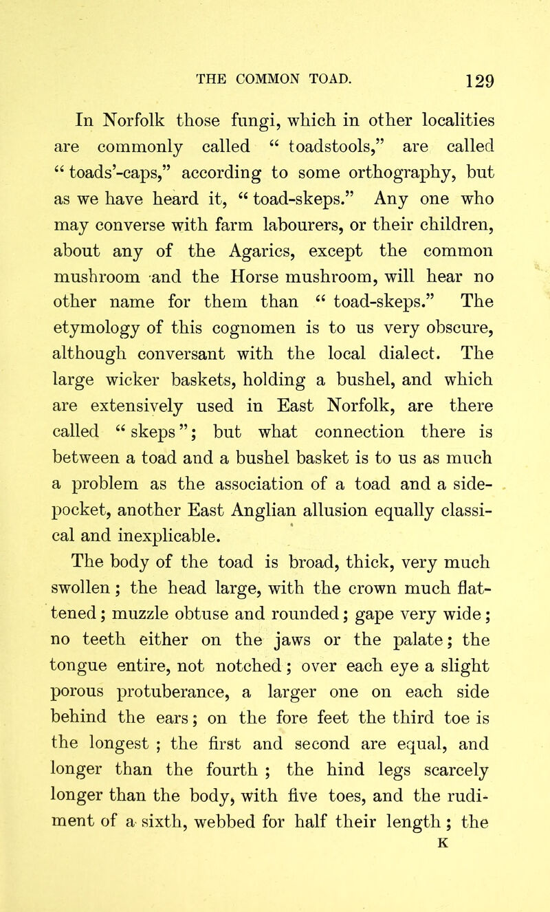 In Norfolk those fungi, which in other localities are commonly called “ toadstools,” are called “ toads’-caps,” according to some orthography, but as we have heard it, “ toad-skeps.” Any one who may converse with farm labourers, or their children, about any of the Agarics, except the common mushroom and the Horse mushroom, will hear no other name for them than “ toad-skeps.” The etymology of this cognomen is to us very obscure, although conversant with the local dialect. The large wicker baskets, holding a bushel, and which are extensively used in East Norfolk, are there called “ skeps ”; but what connection there is between a toad and a bushel basket is to us as much a problem as the association of a toad and a side- pocket, another East Anglian allusion equally classi- cal and inexplicable. The body of the toad is broad, thick, very much swollen; the head large, with the crown much flat- tened ; muzzle obtuse and rounded; gape very wide; no teeth either on the jaws or the palate; the tongue entire, not notched; over each eye a slight porous protuberance, a larger one on each side behind the ears; on the fore feet the third toe is the longest ; the first and second are equal, and longer than the fourth ; the hind legs scarcely longer than the body, with five toes, and the rudi- ment of a- sixth, webbed for half their length; the K