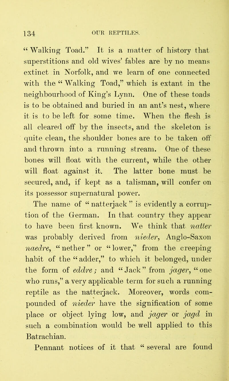 “ Walking Toad.” It is a matter of history that superstitions and old wives’ fables are by no means extinct in Norfolk, and we learn of one connected with the “ Walking Toad,” which is extant in the neighbourhood of King’s Lynn. One of these toads is to be obtained and buried in an ant’s nest, where it is to be left for some time. When the flesh is all cleared off by the insects, and the skeleton is quite clean, the shoulder bones are to be taken off and thrown into a running stream. One of these bones will float with the current, while the other will float against it. The latter bone must be secured, and, if kept as a talisman, will confer on its possessor supernatural power. The name of “natterjack” is evidently a corrup- tion of the German. In that country they appear to have been first known. We think that natter was probably derived from nieder, Anglo-Saxon naedre, “ nether ” or “ lower,” from the creeping habit of the “adder,” to which it belonged, under the form of eddre ; and “ Jack ” from jager, “ one who runs,” a very applicable term for such a running reptile as the natterjack. Moreover, words com- pounded of nieder have the signification of some place or object lying low, and jager or jagd in such a combination would be well applied to this Batrachian. Pennant notices of it that “ several are found